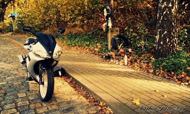 Photo 2726889