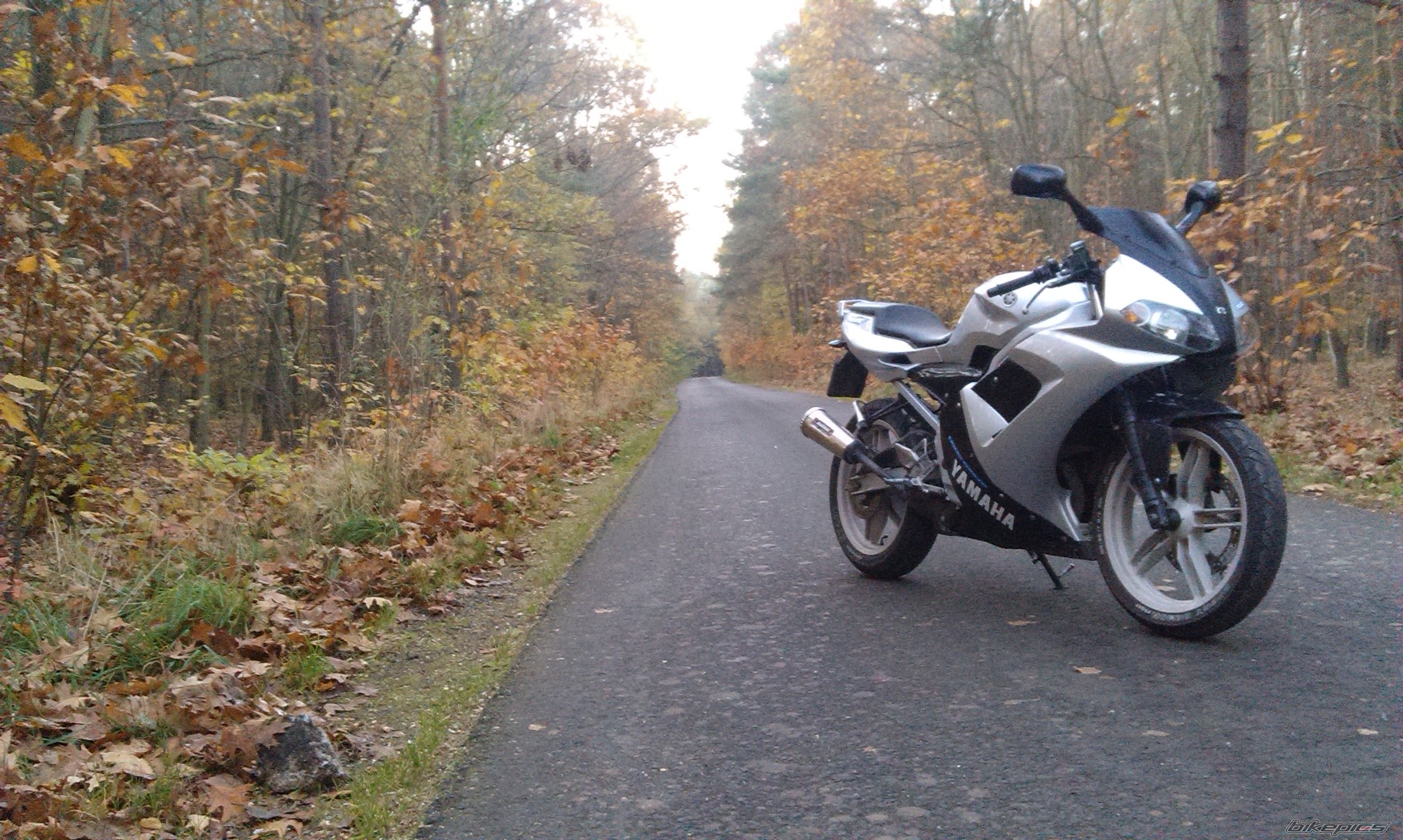 Photo 2726922