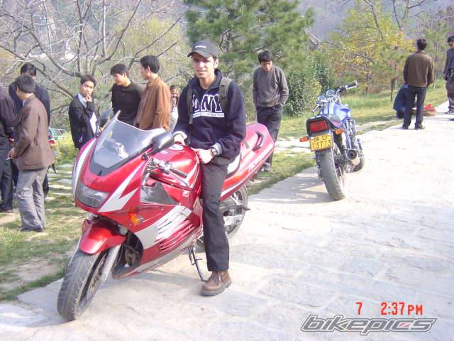Photo 272702