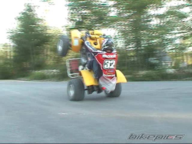 Photo 272713