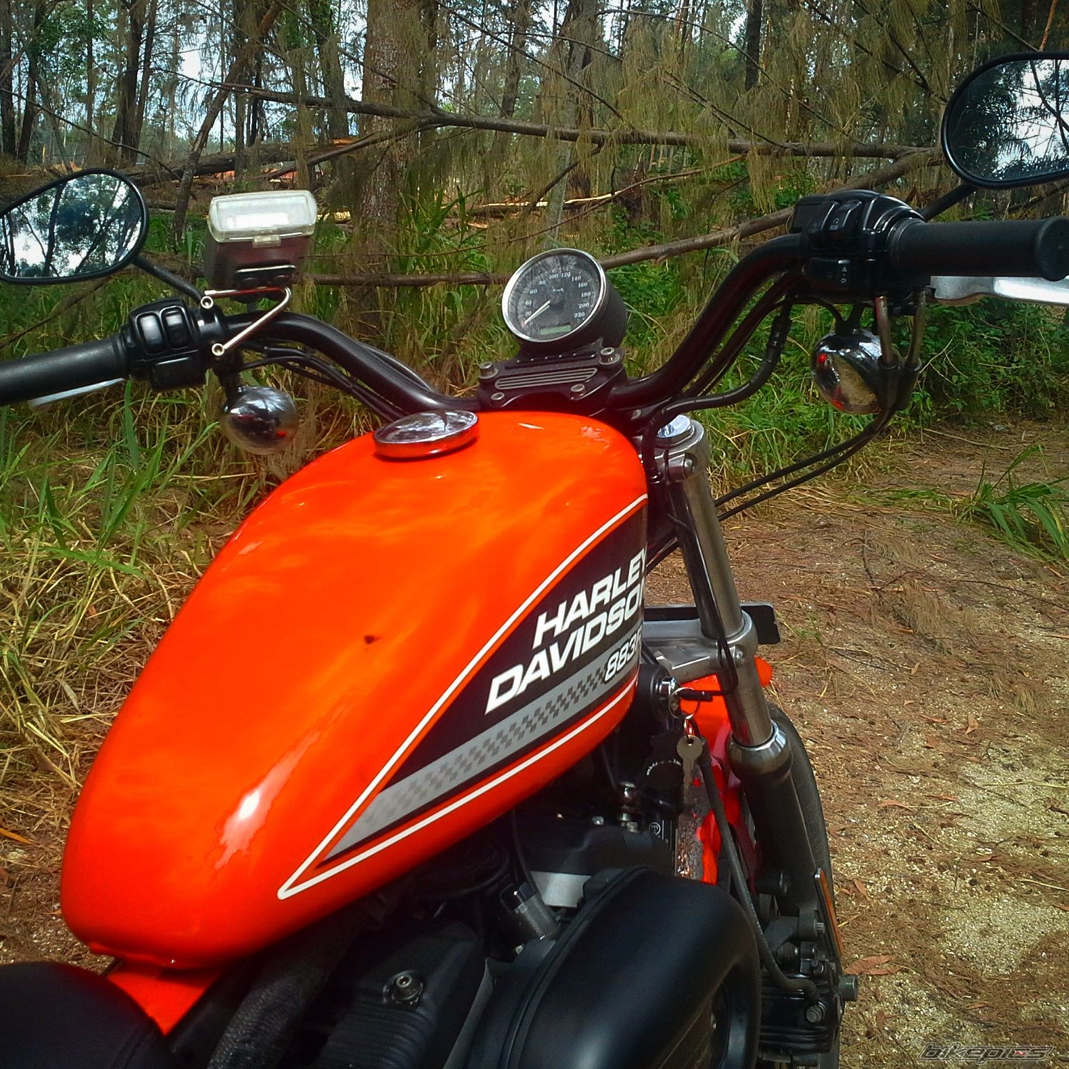 Photo 2727228