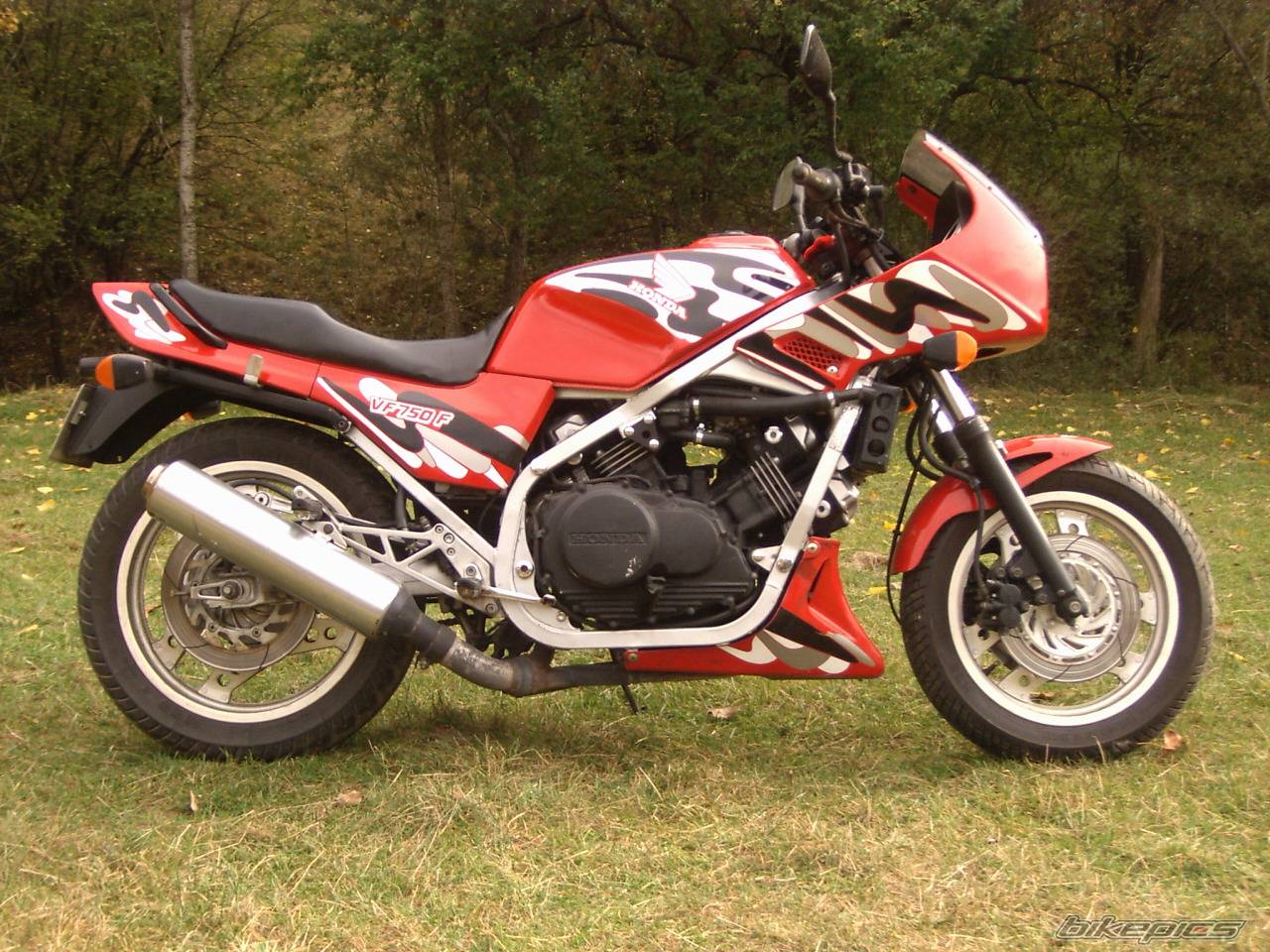 Photo 272741