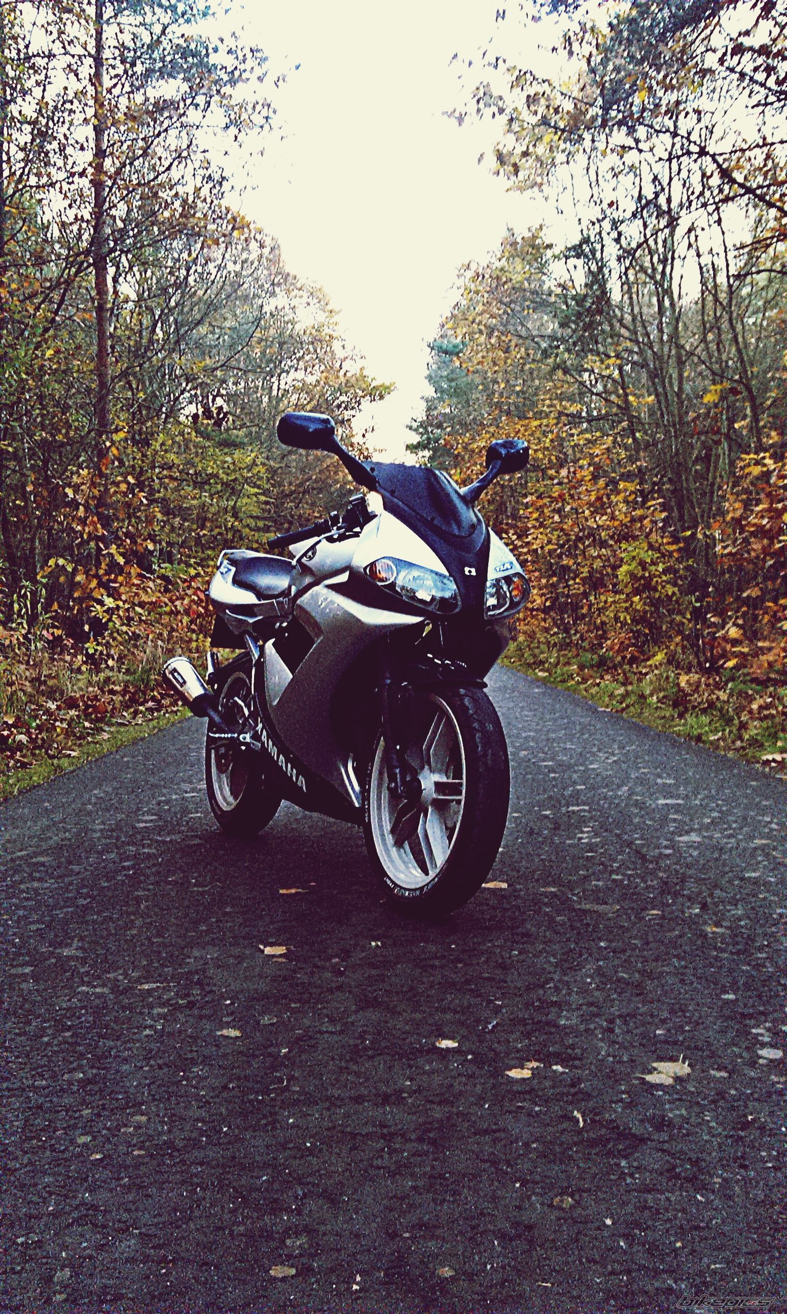 Photo 2727410
