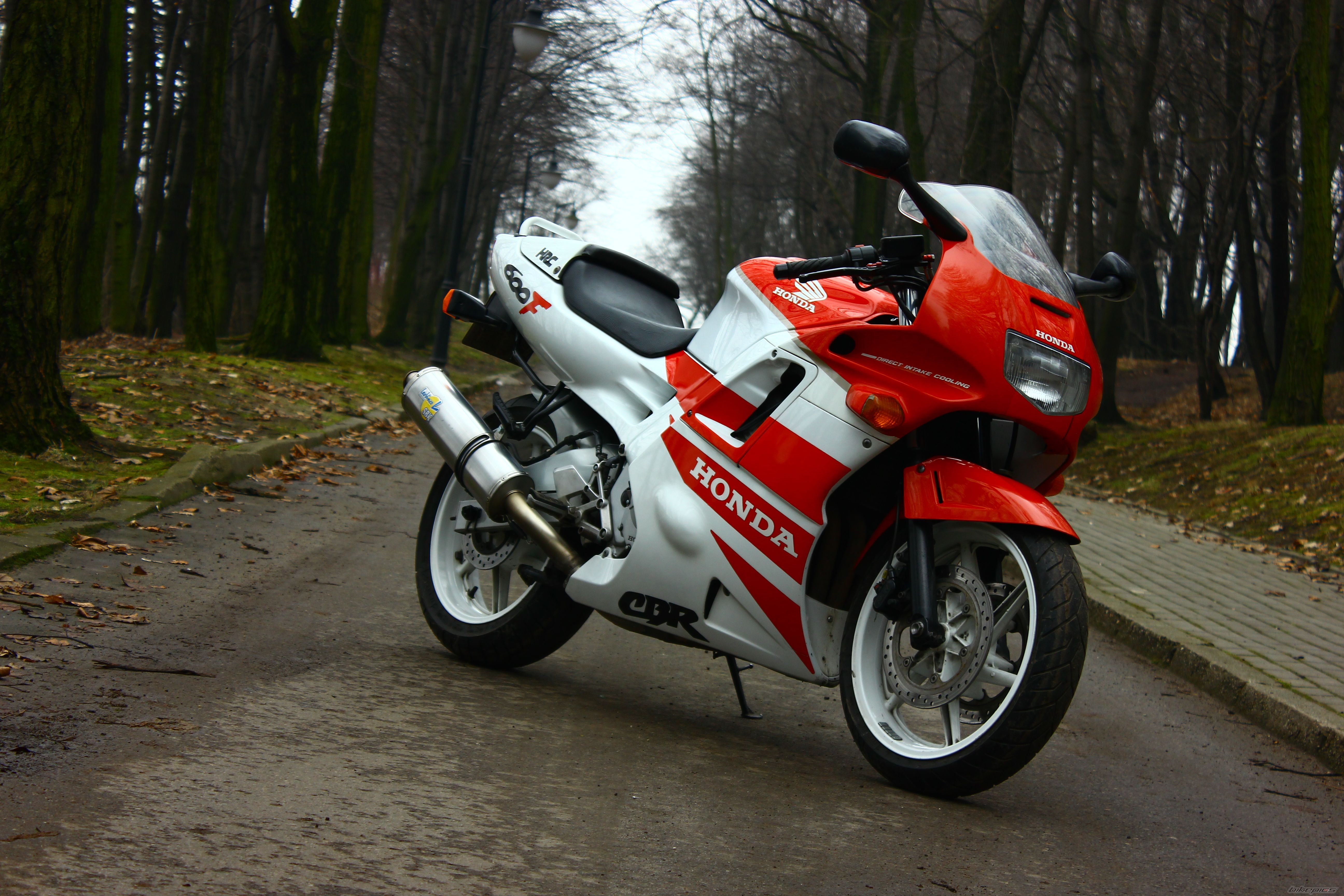 Photo 2727433
