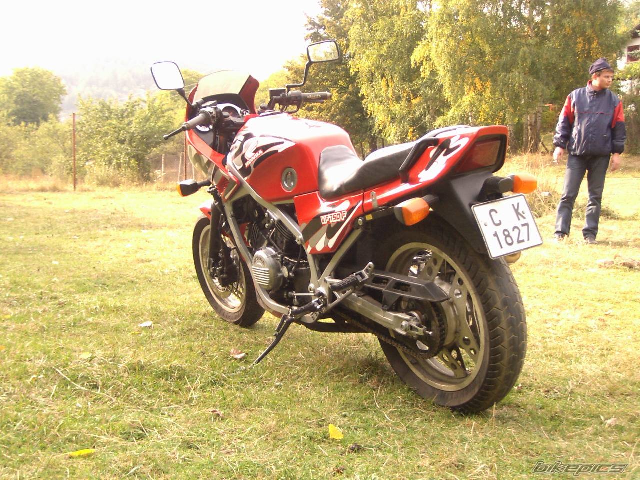Photo 272745
