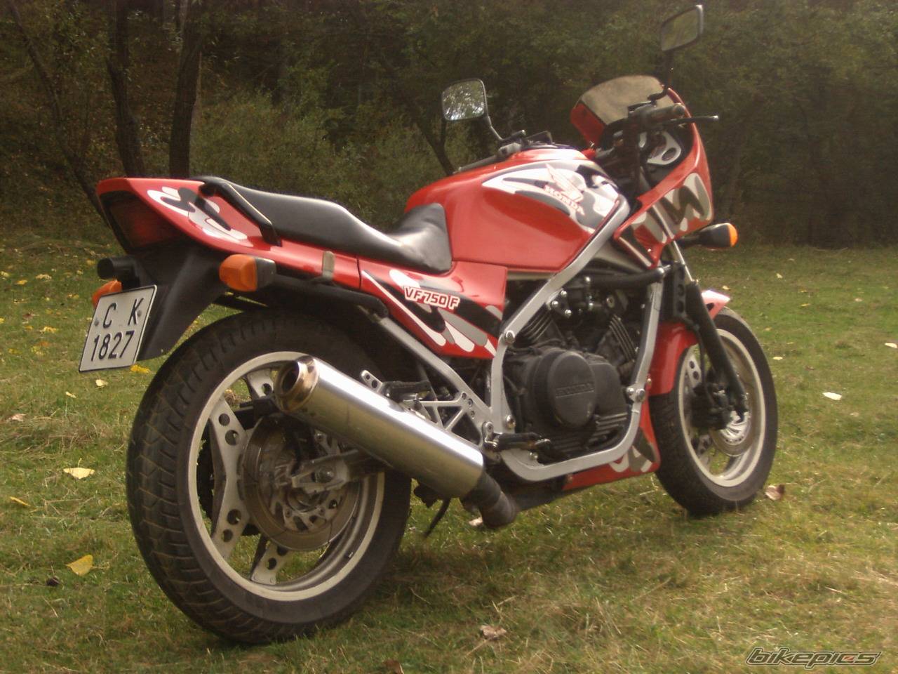 Photo 272746