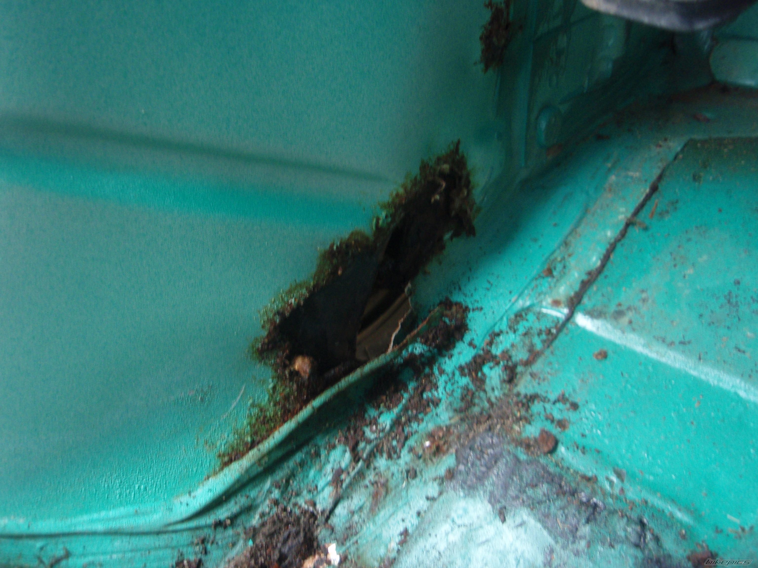 Photo 2727471