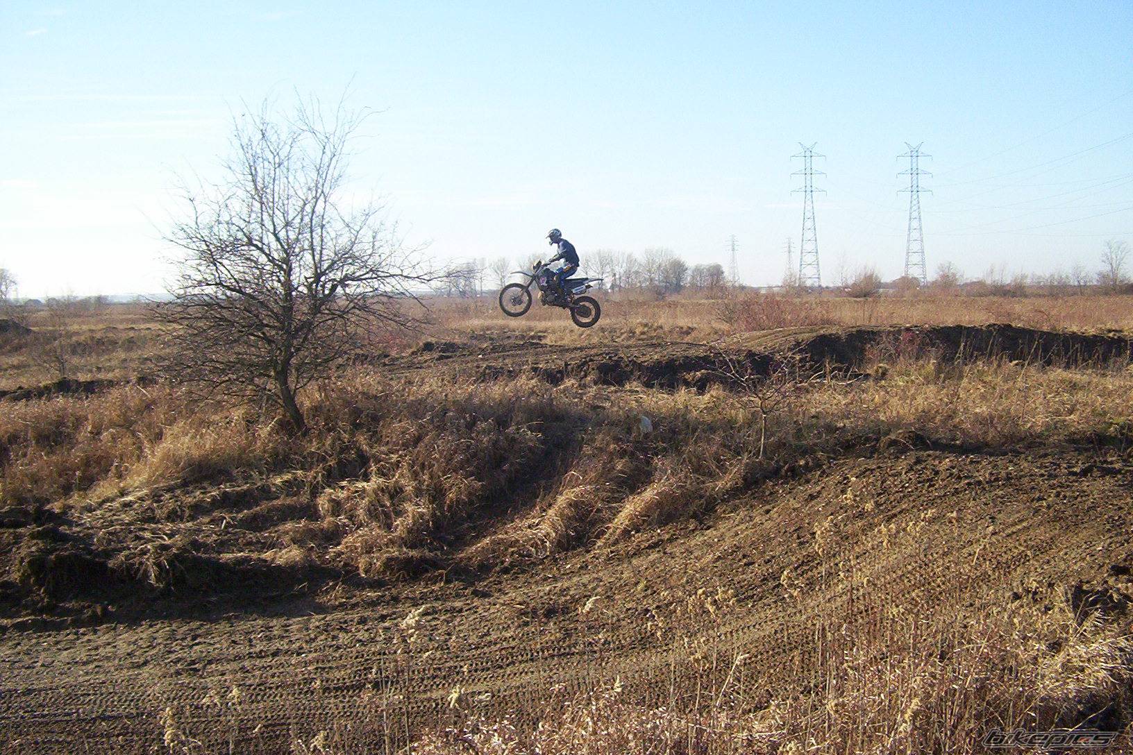 Photo 272753