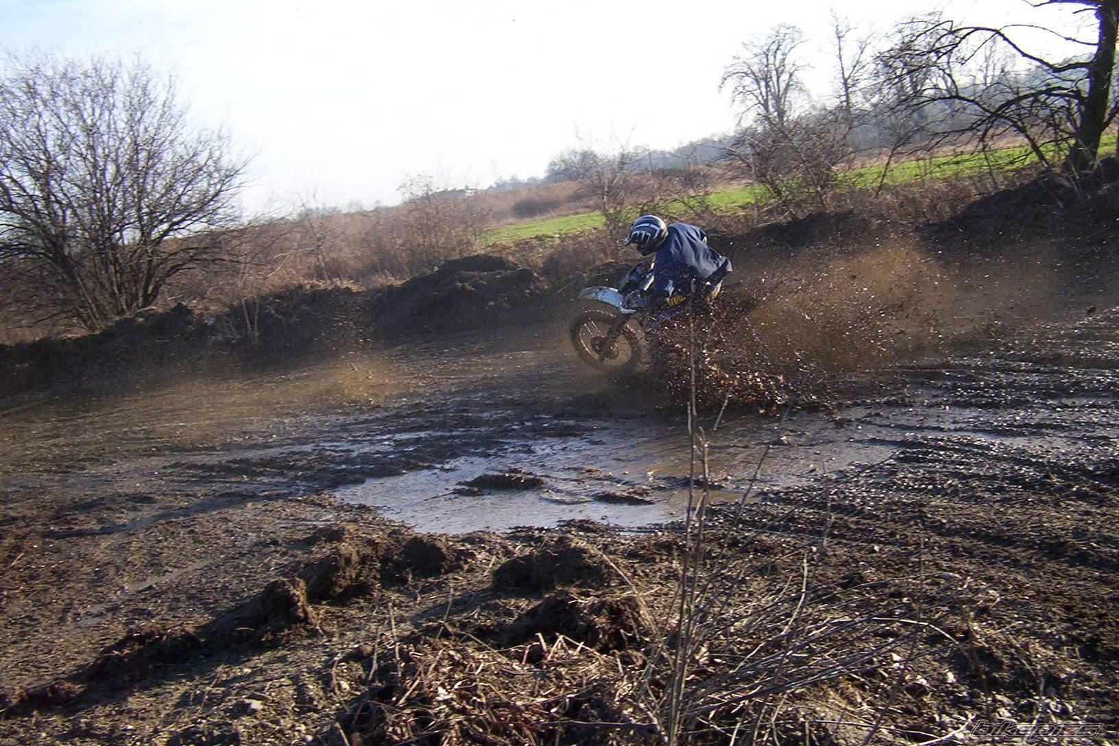 Photo 272757