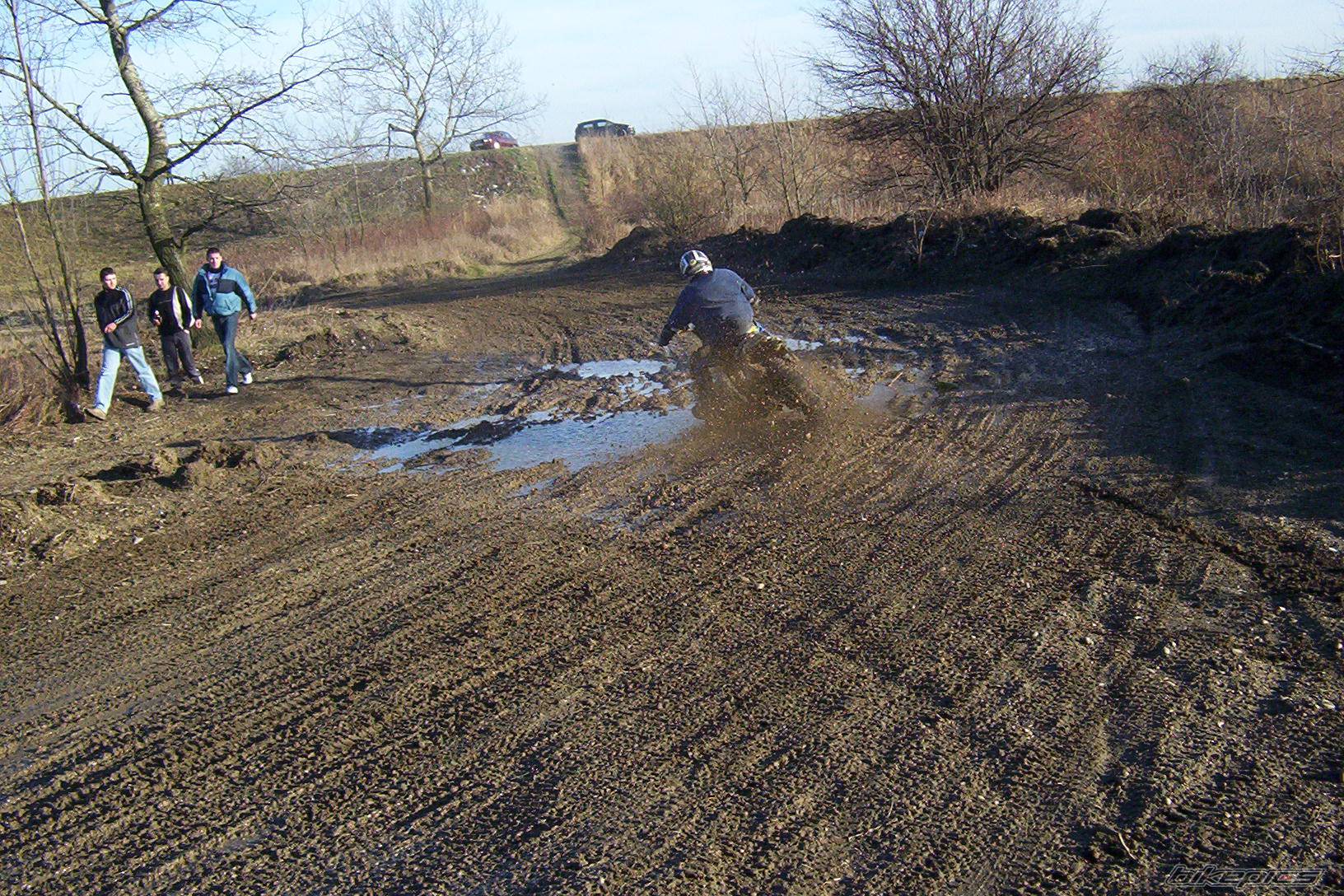 Photo 272758