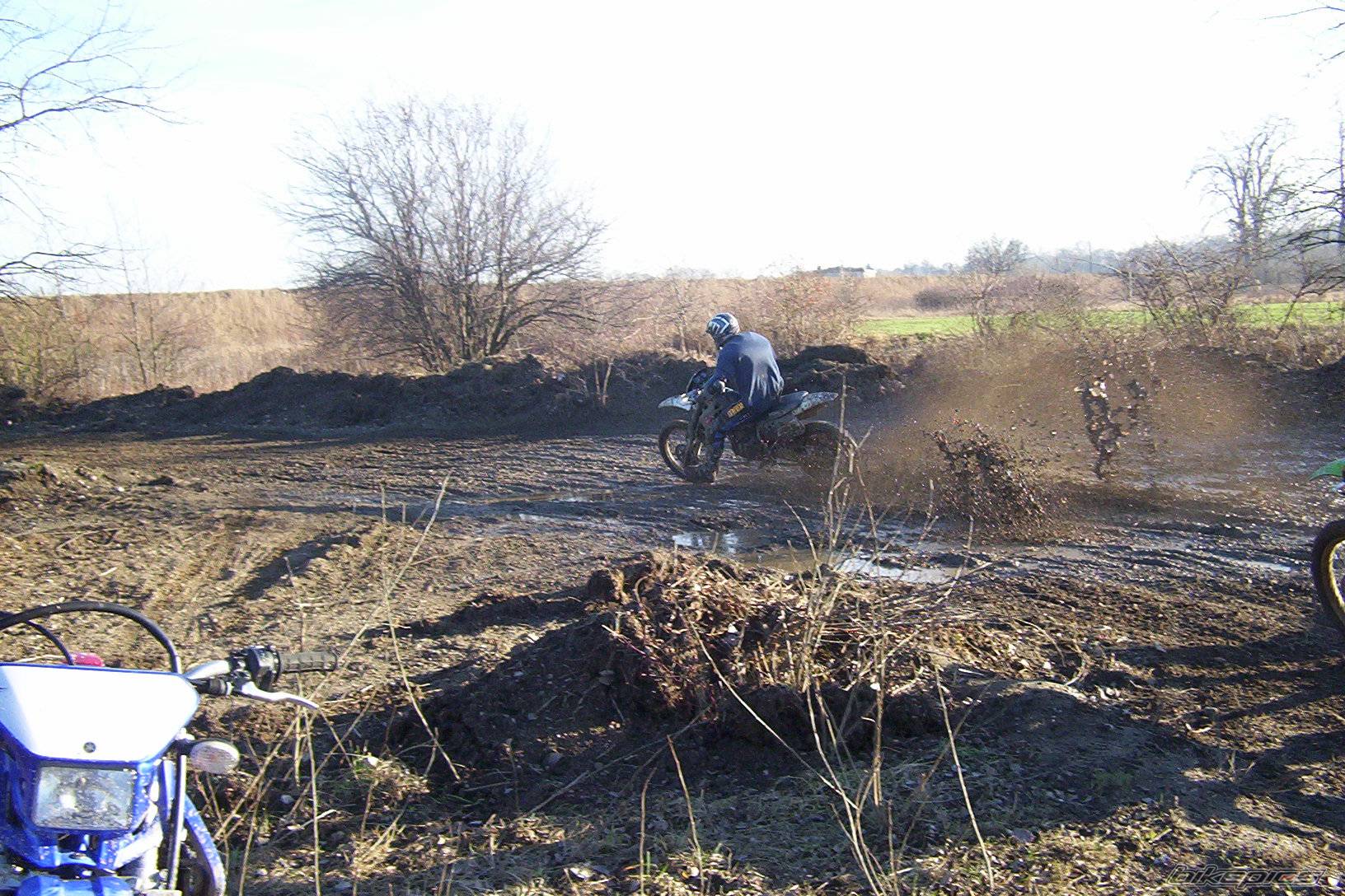 Photo 272759