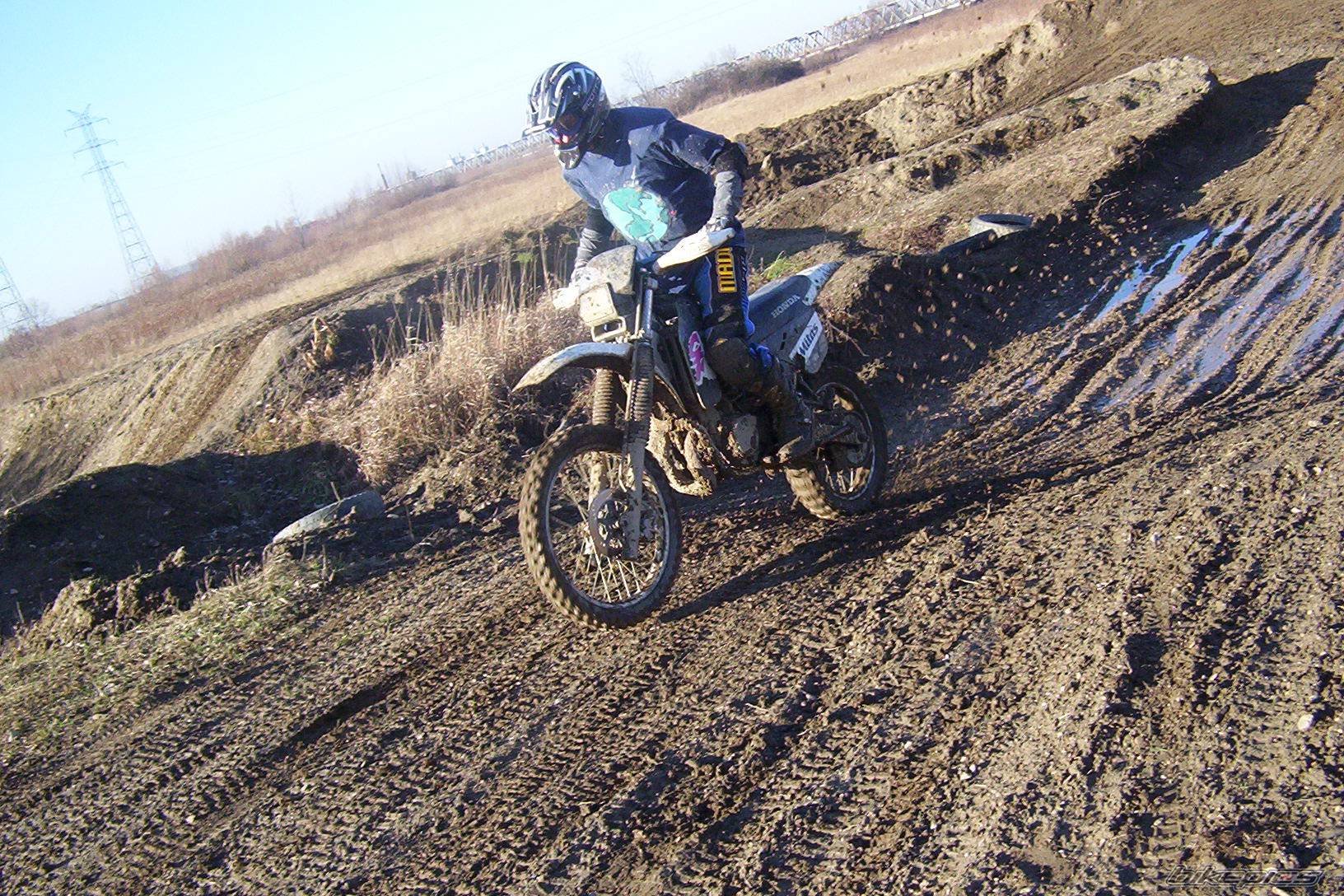 Photo 272761