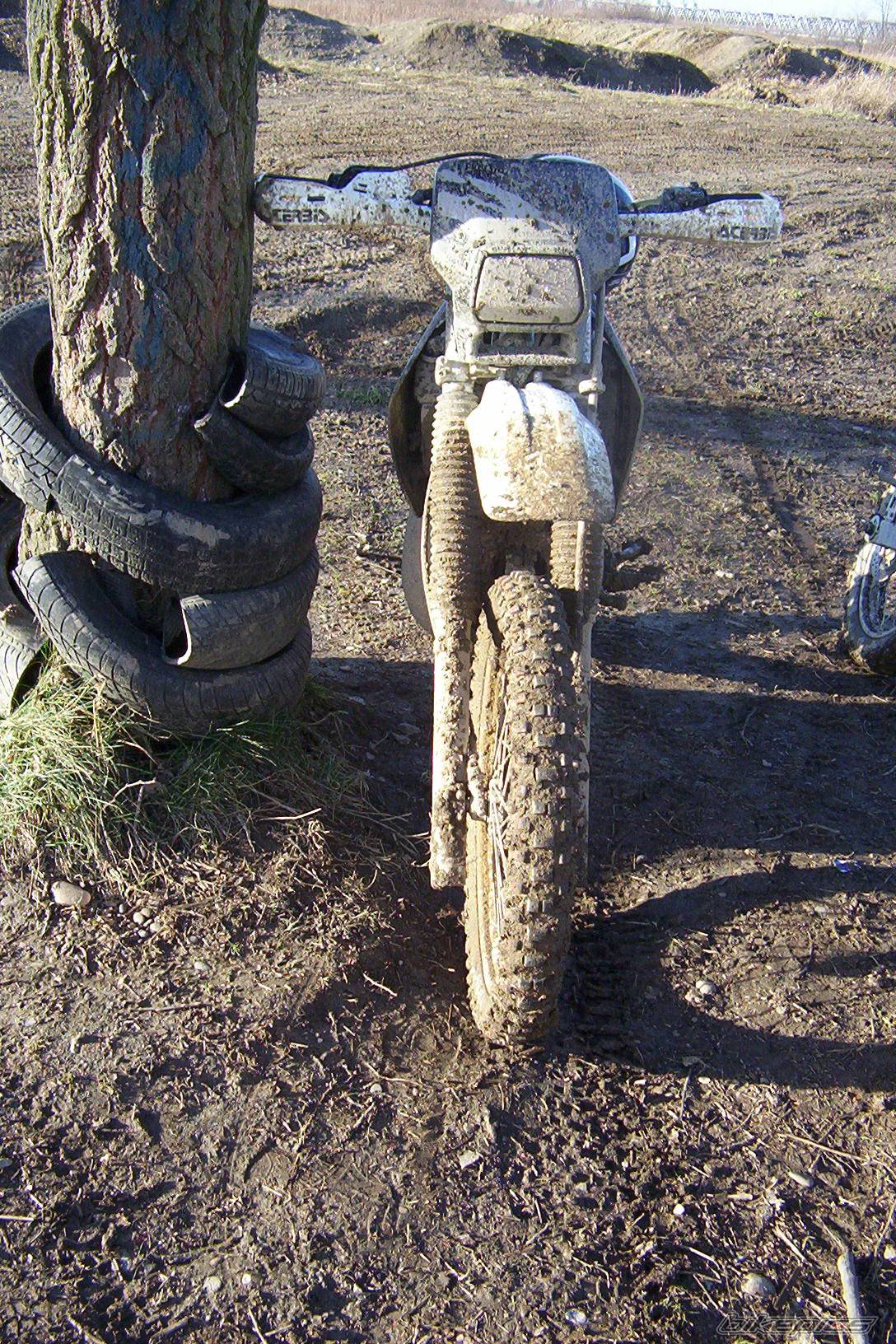 Photo 272762