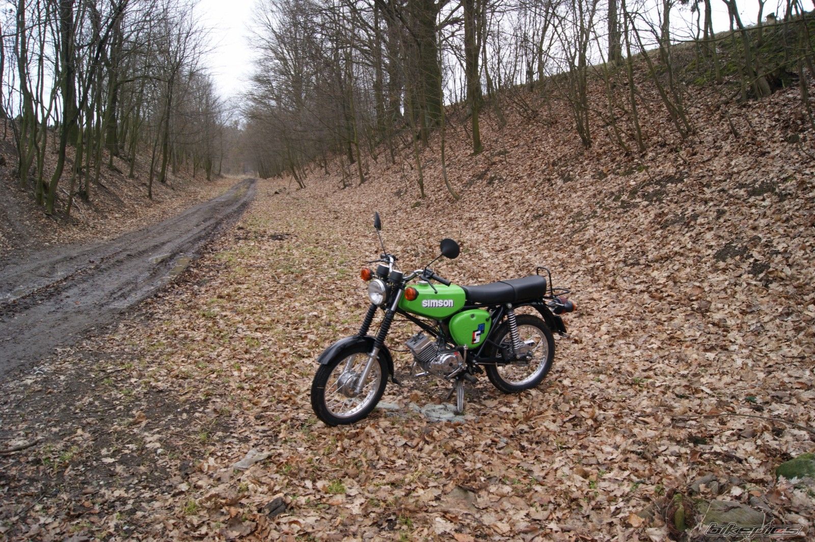 Photo 2728034