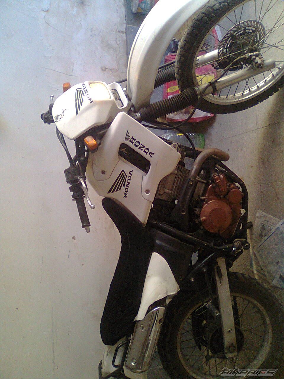Photo 2728114