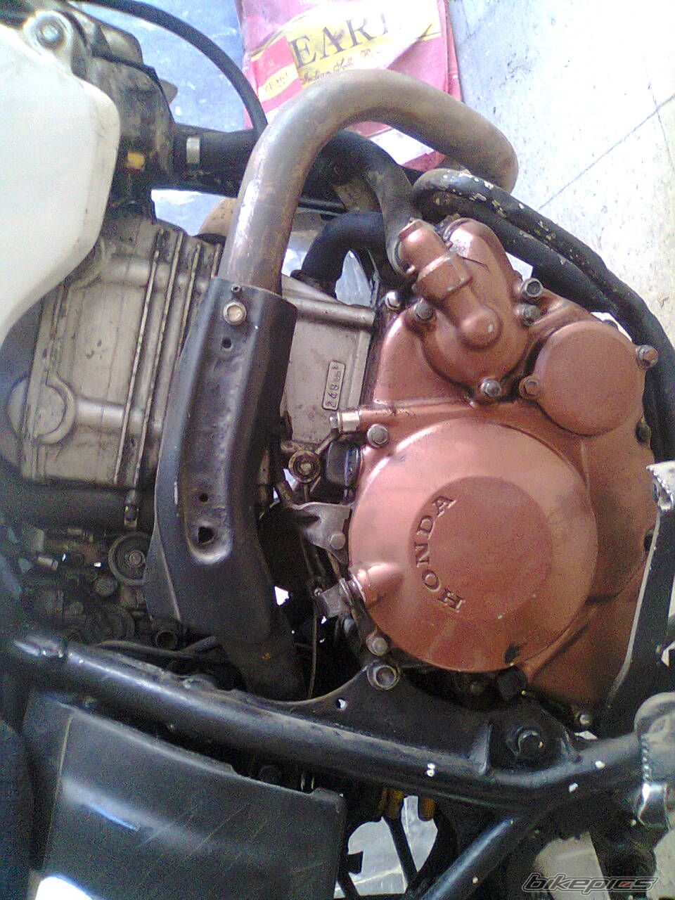 Photo 2728115