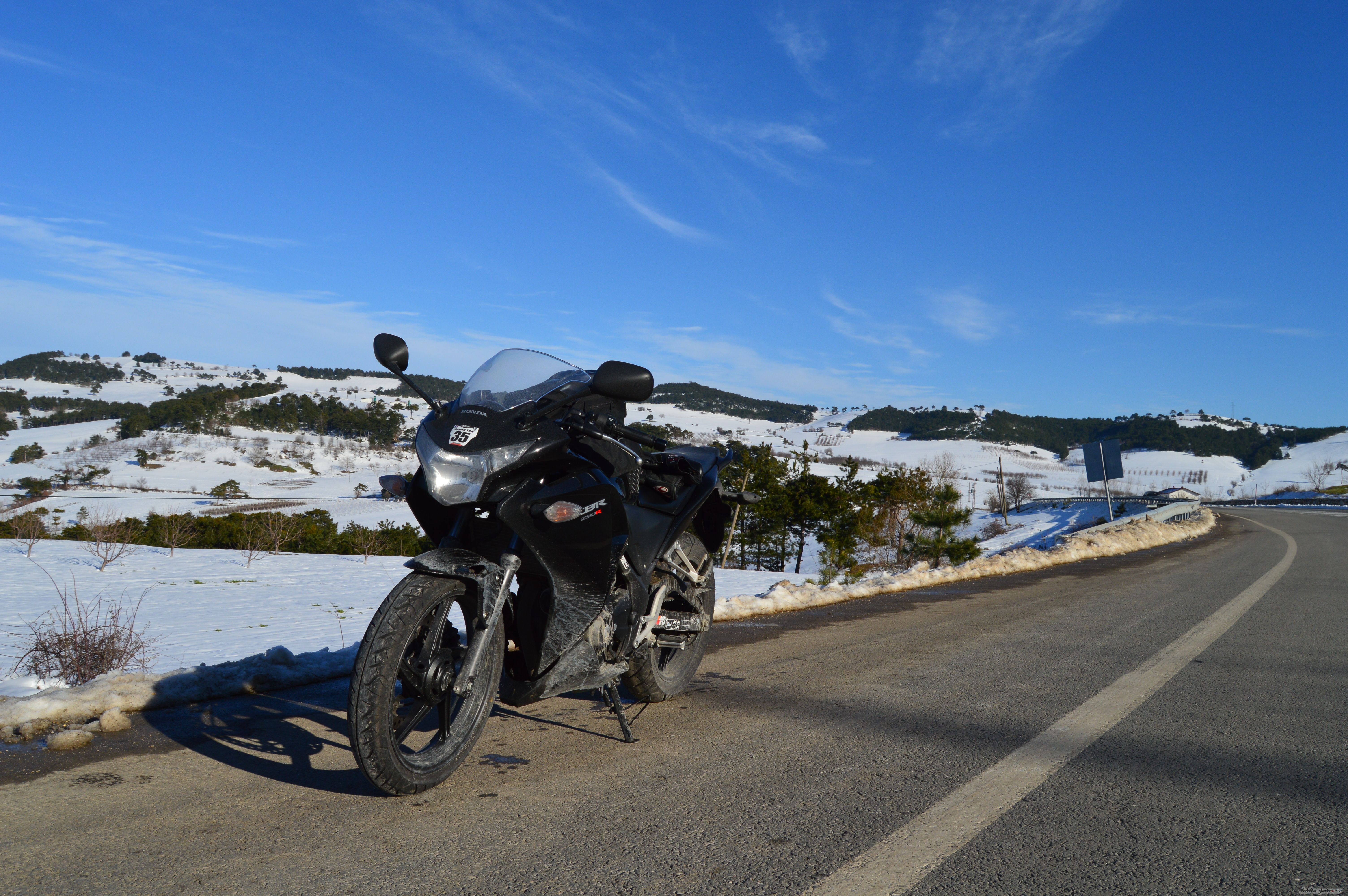 Photo 2728144