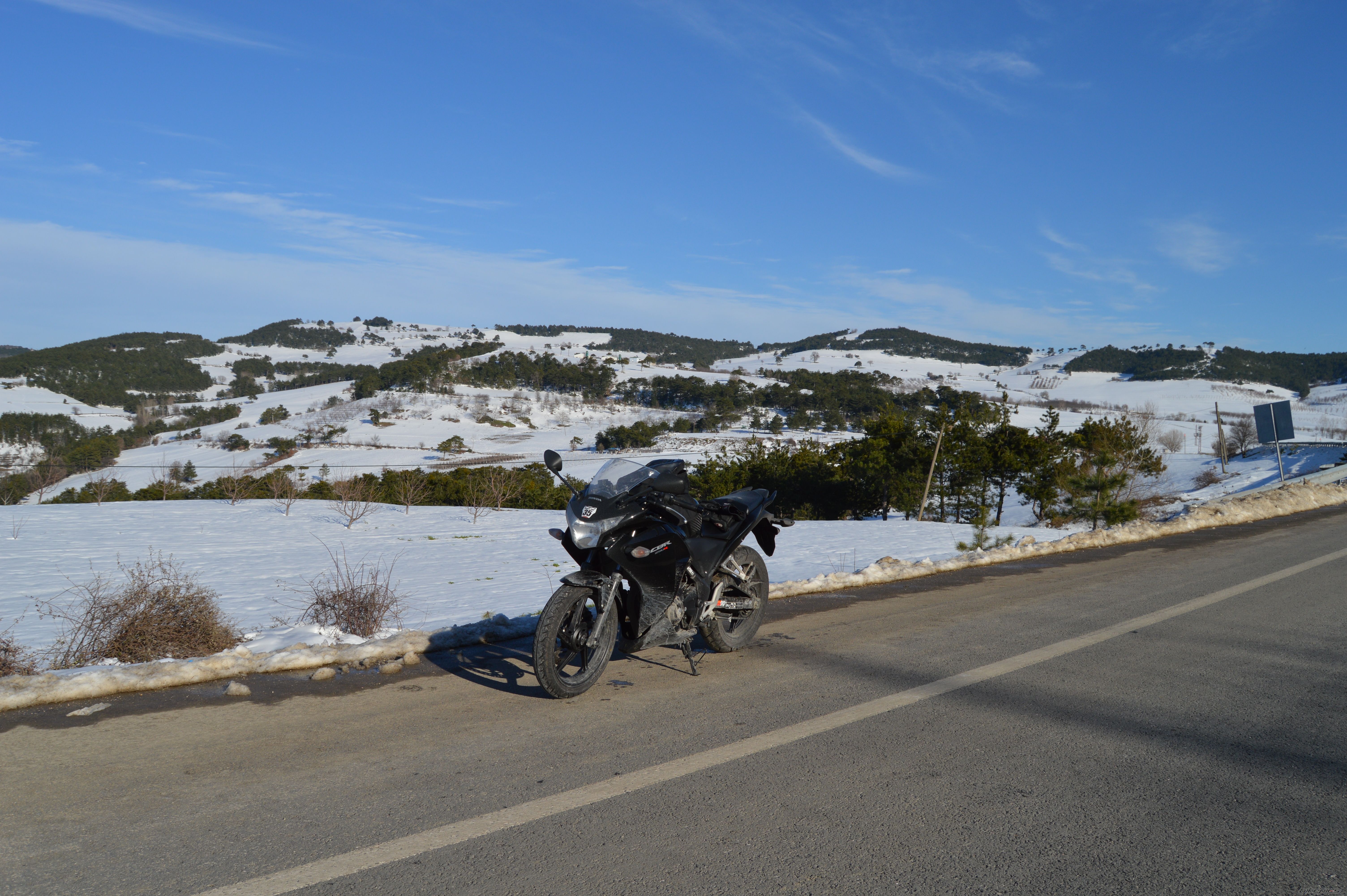 Photo 2728145