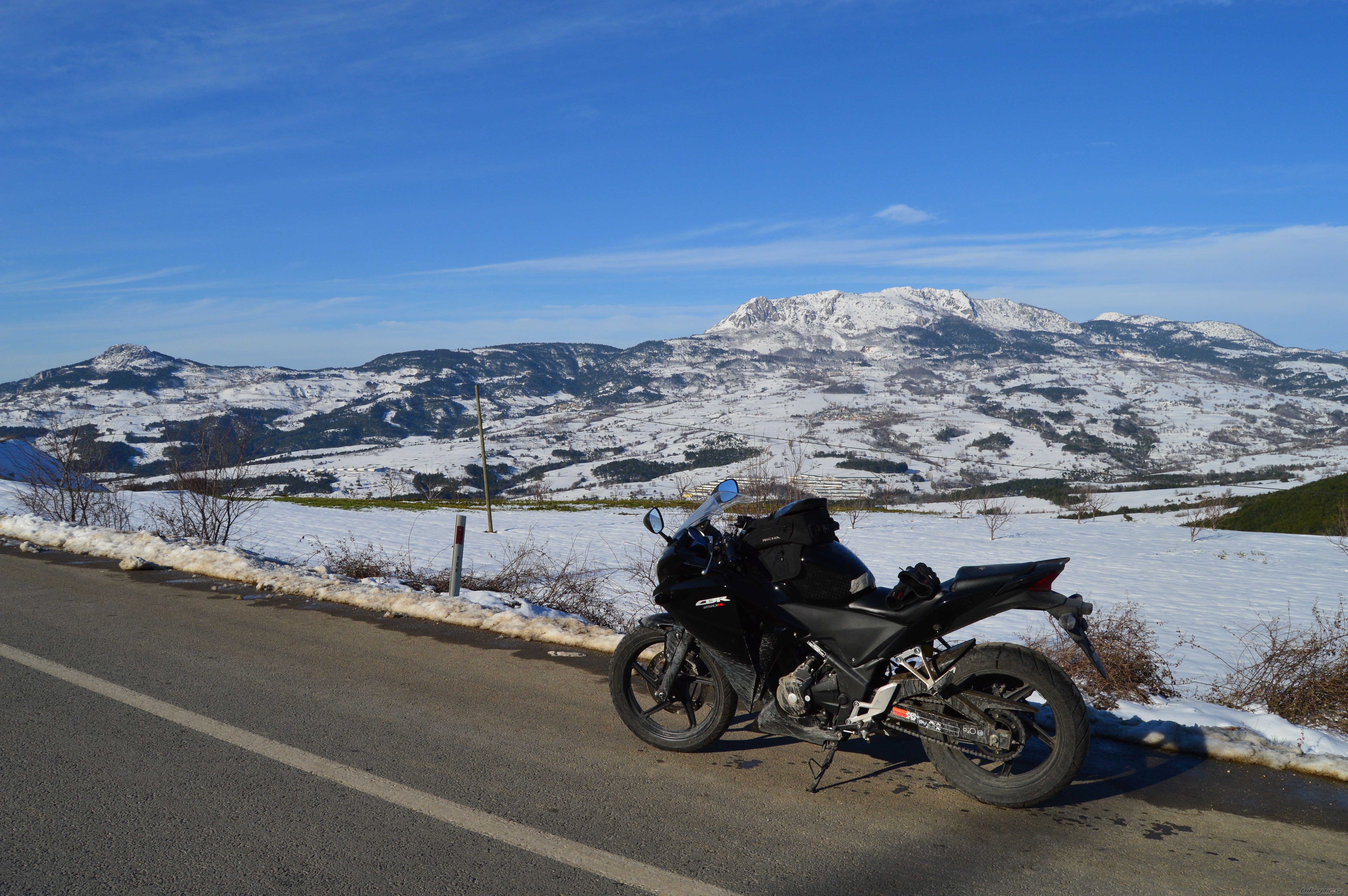 Photo 2728149