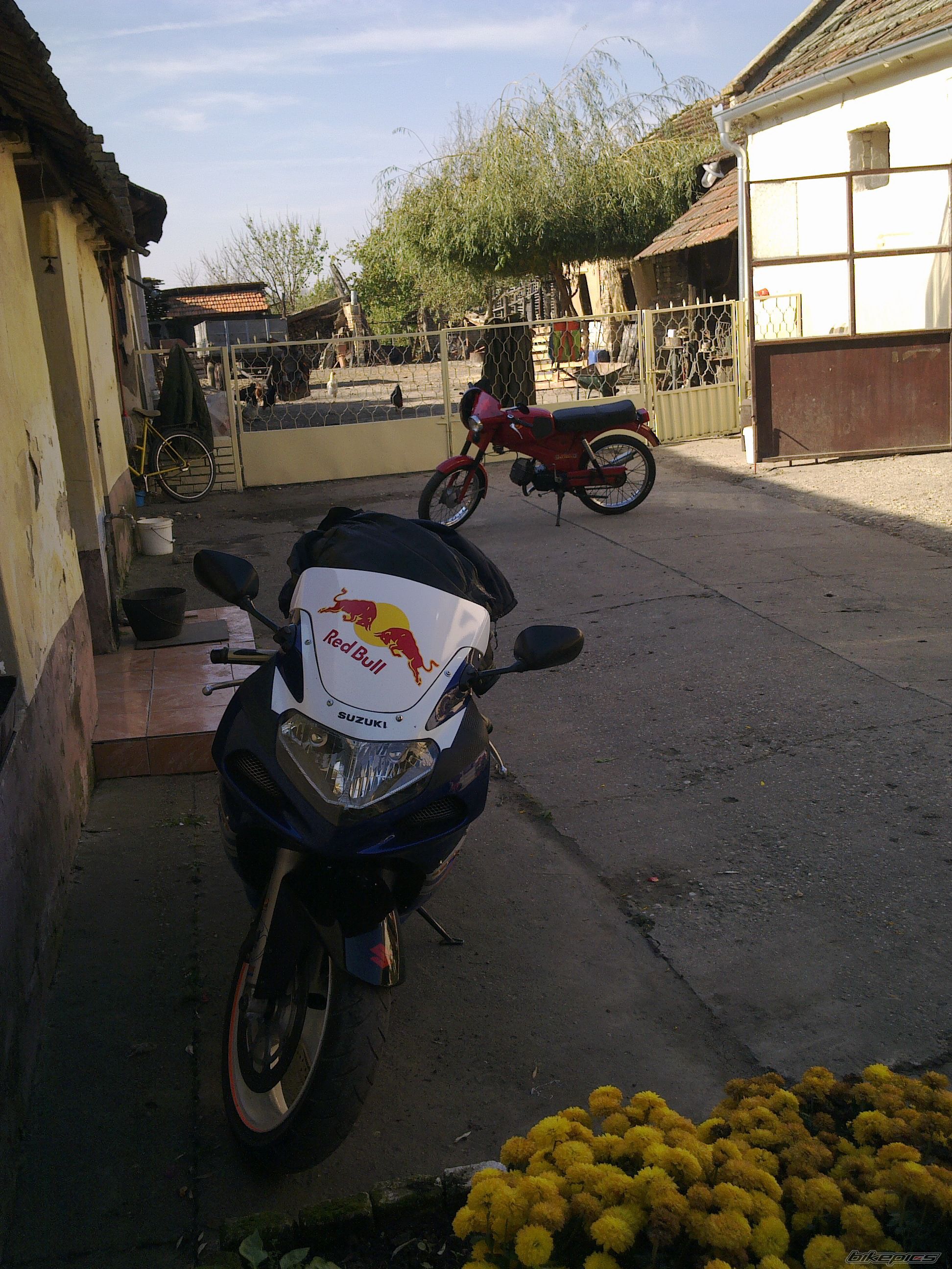 Photo 2728233