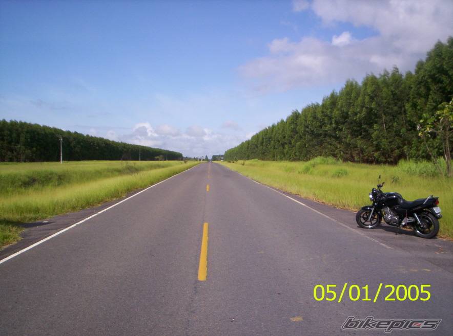 Photo 272825