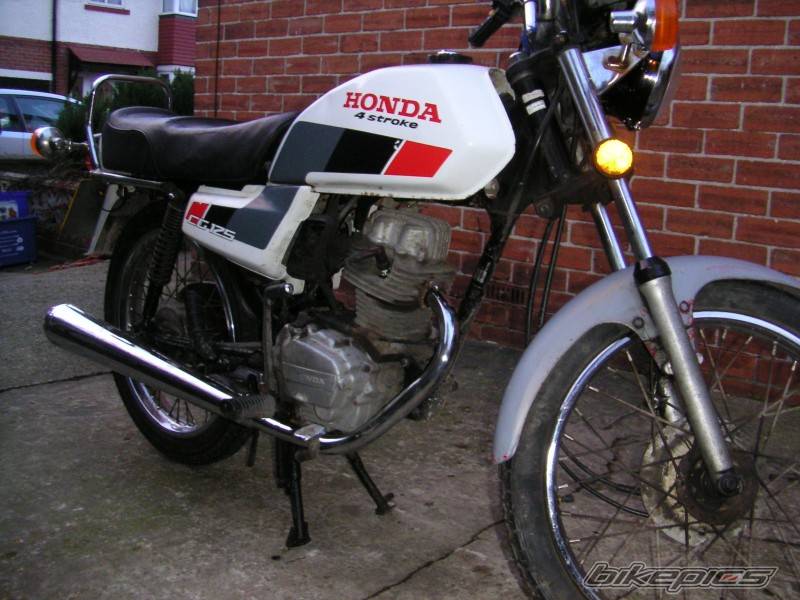 Photo 272851
