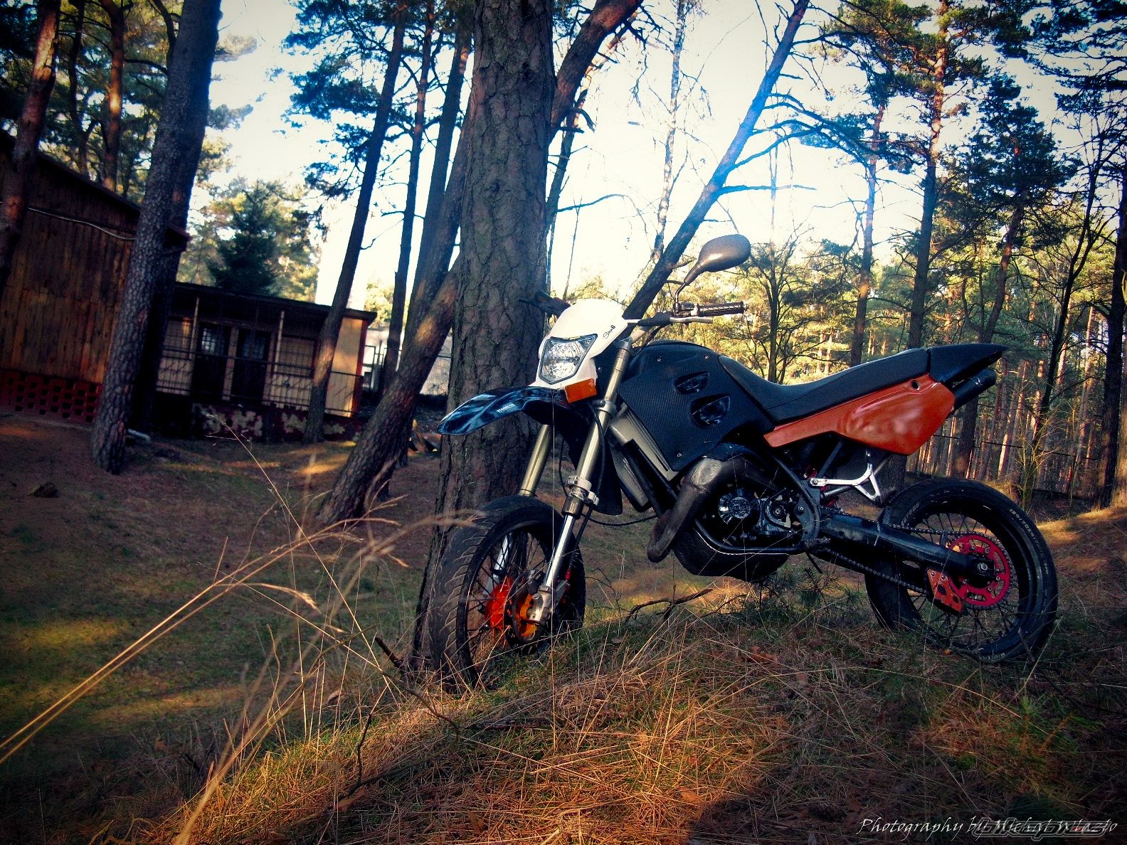 Photo 2728533