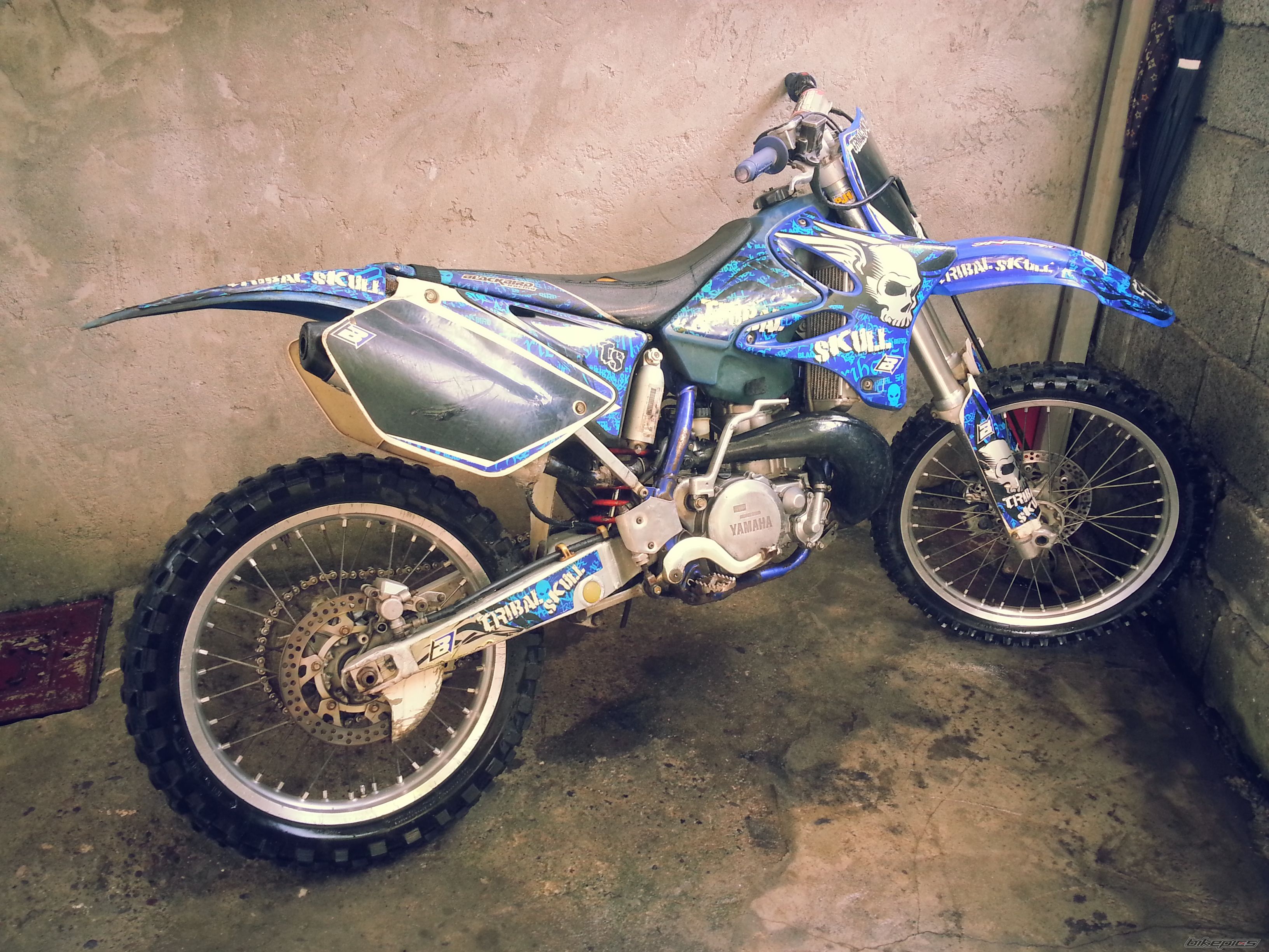 Photo 2728555