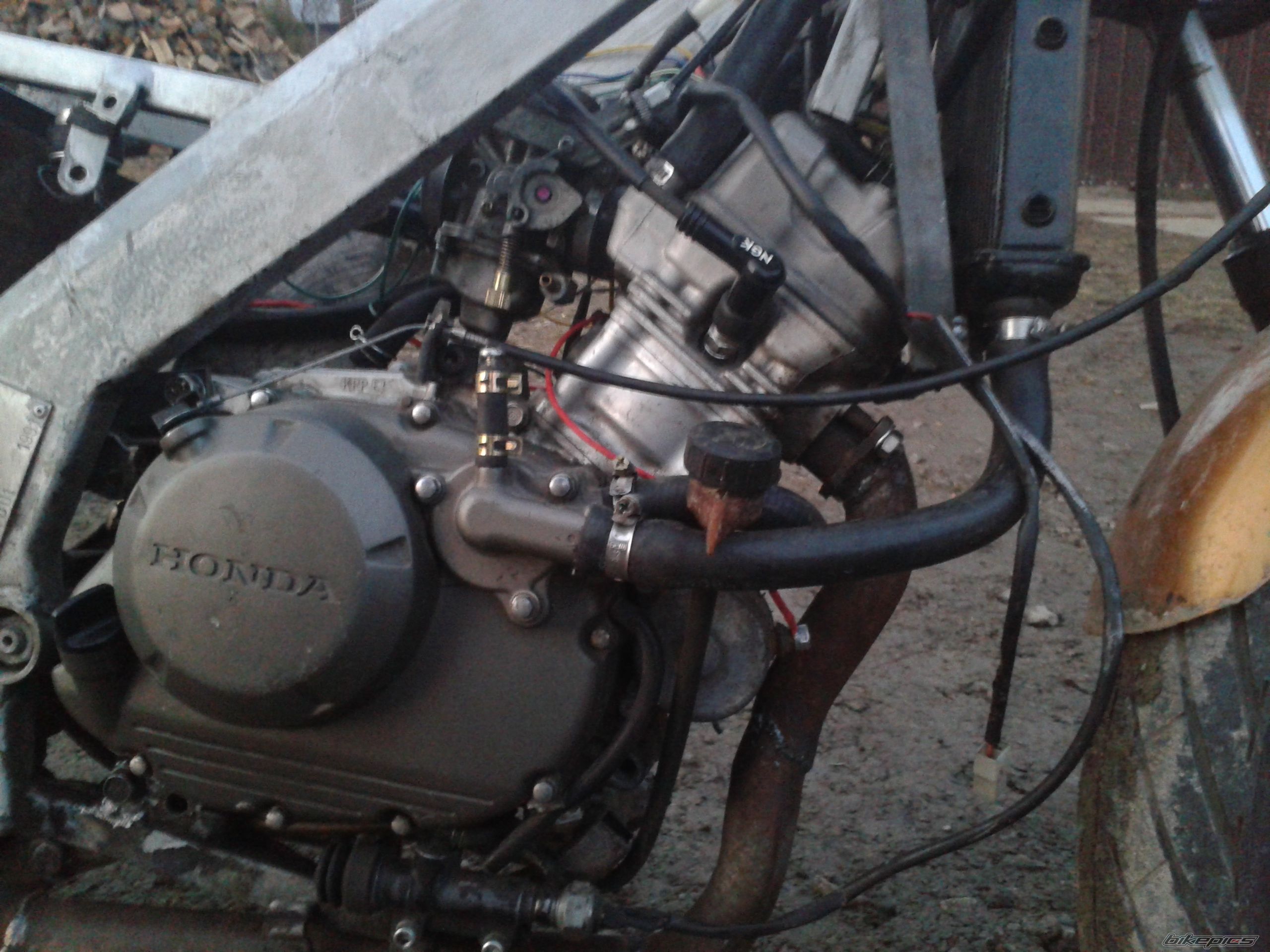 Photo 2728564