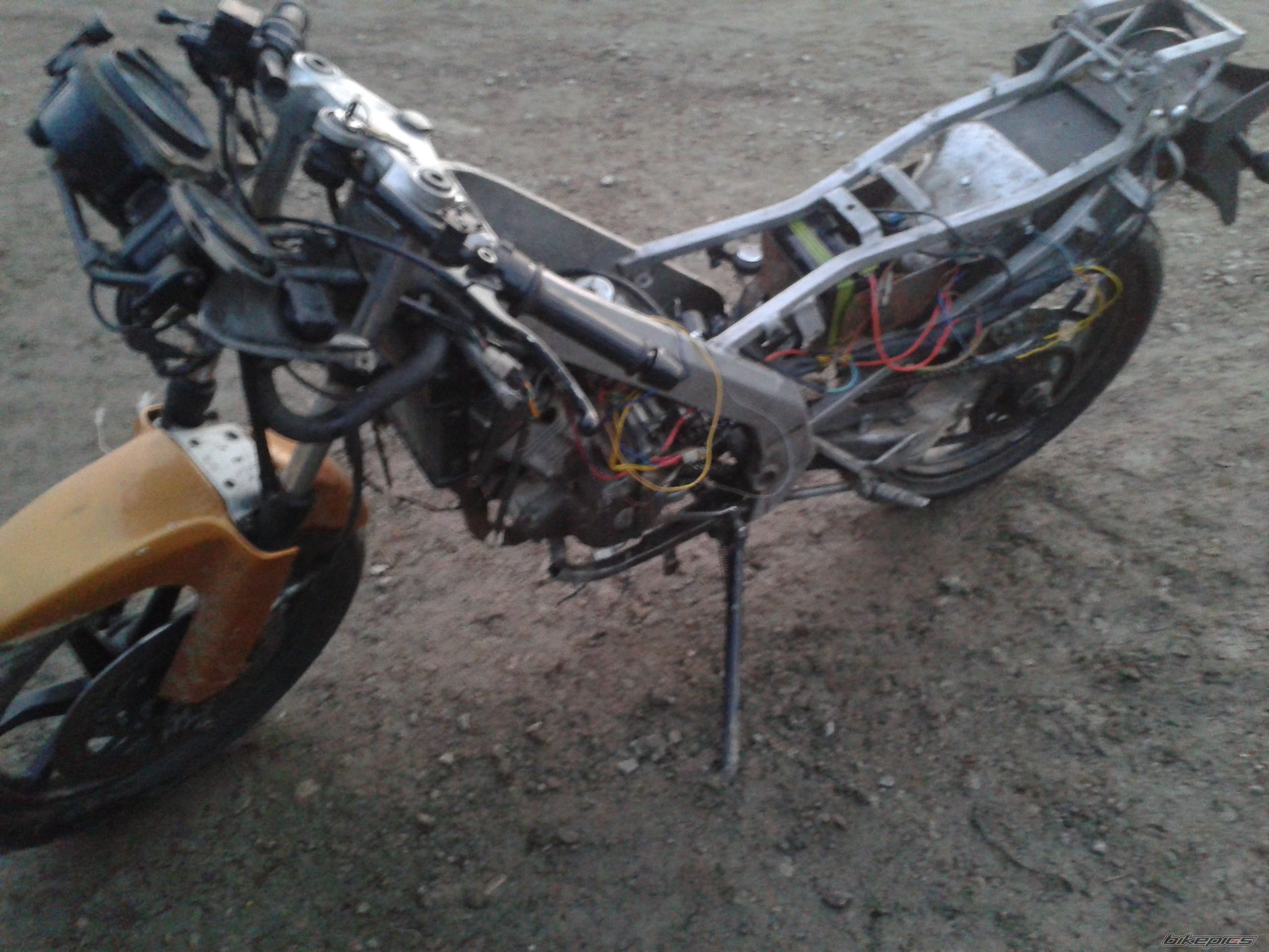 Photo 2728567