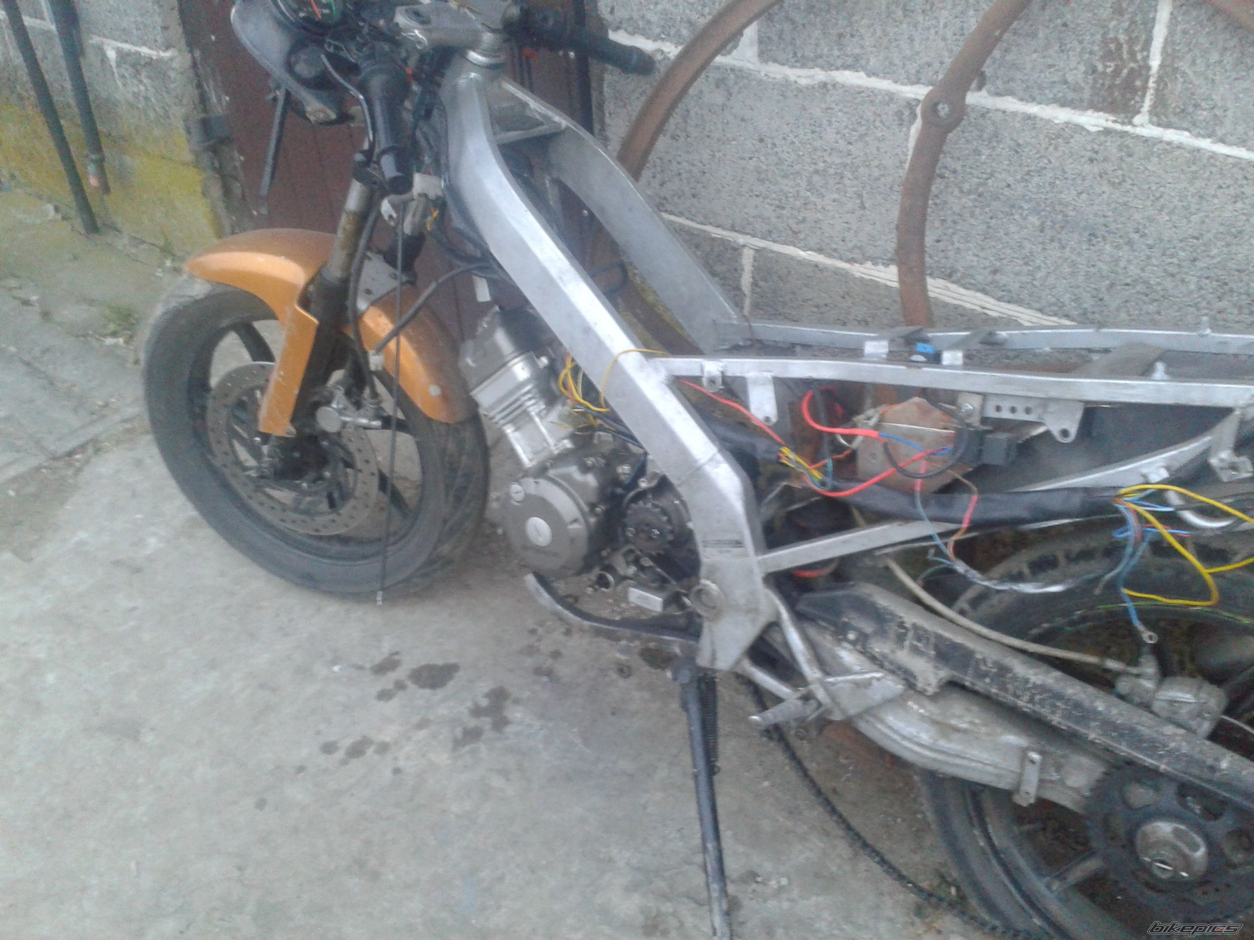 Photo 2728571
