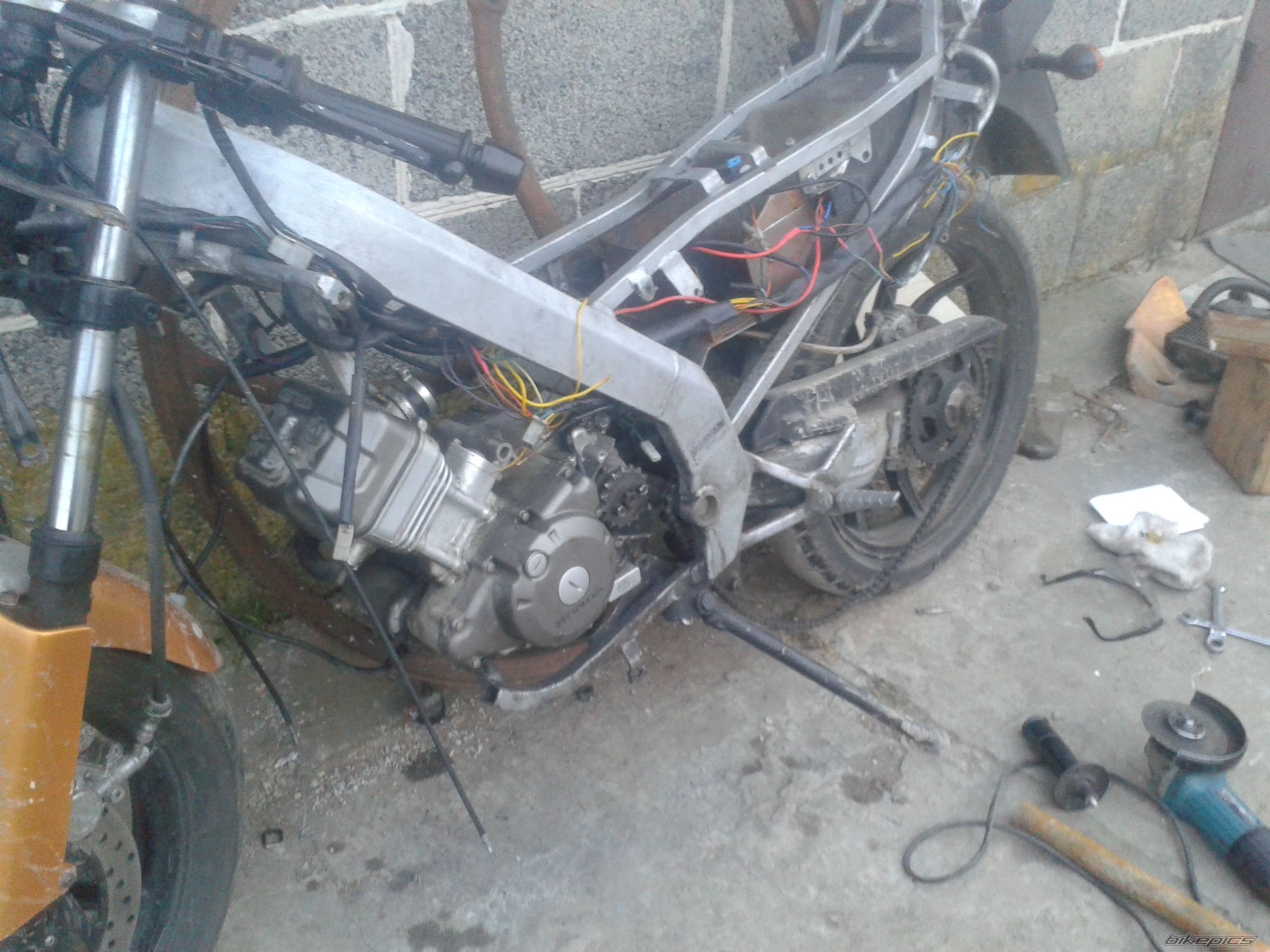 Photo 2728573