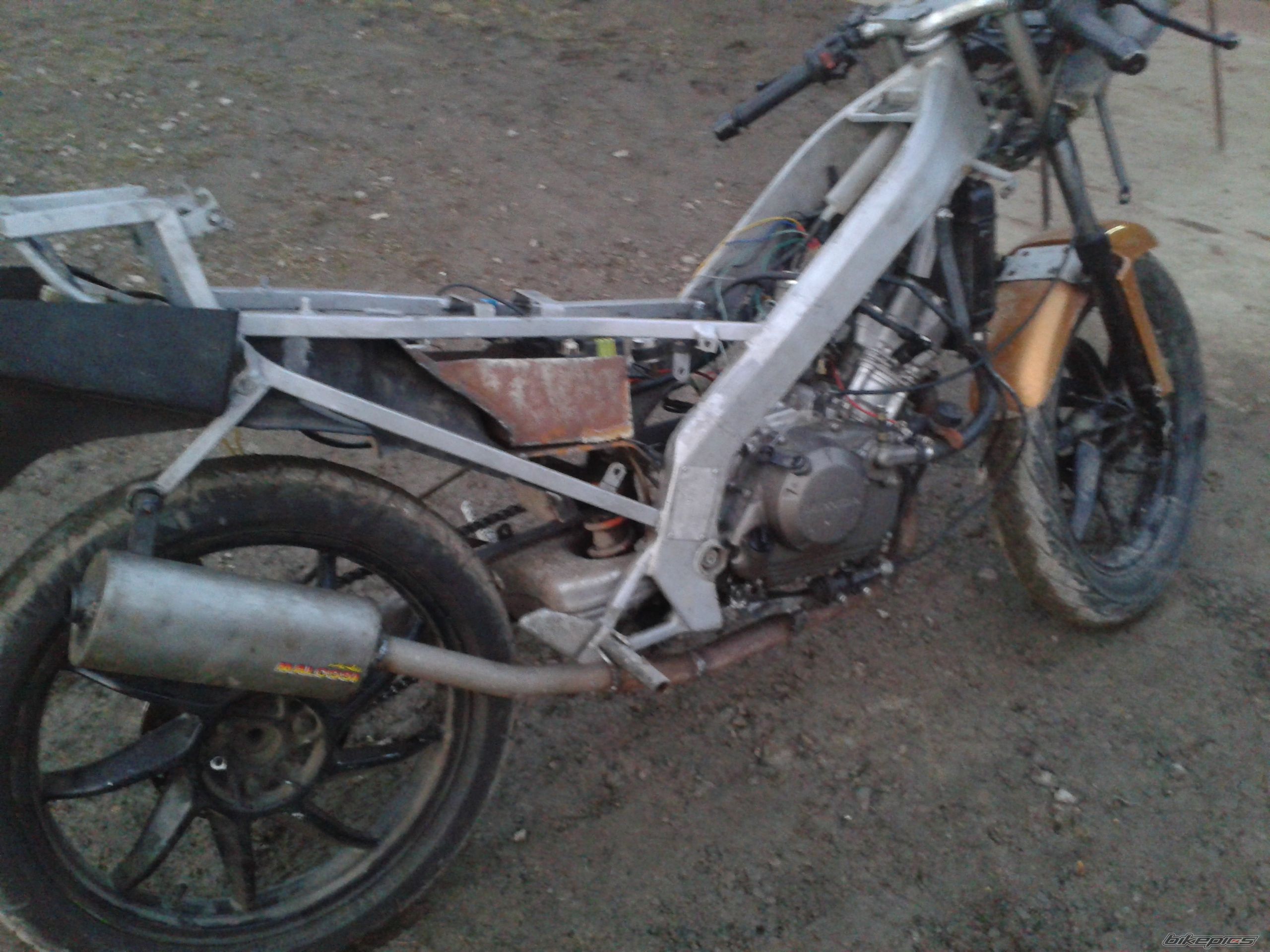 Photo 2728587