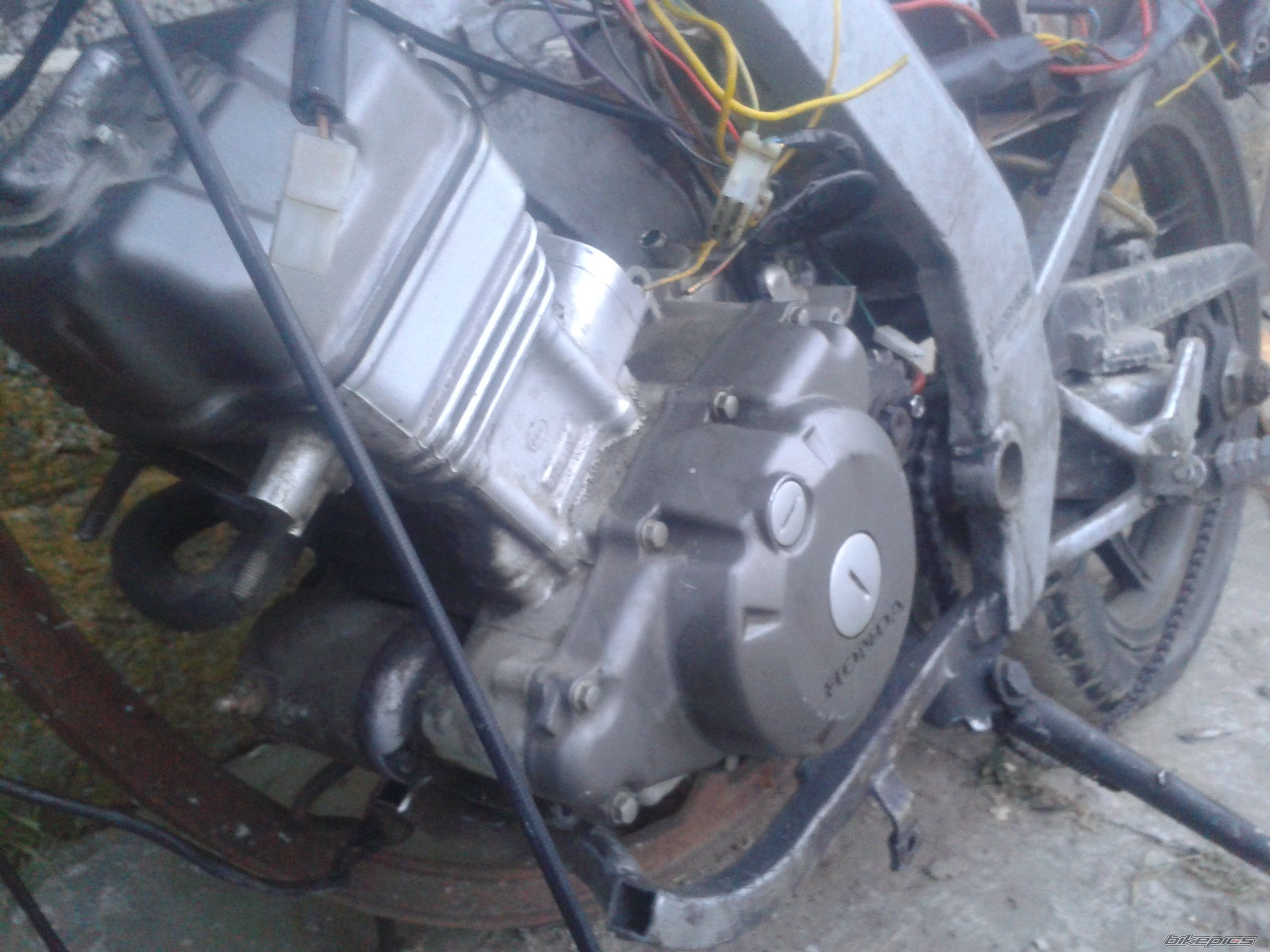 Photo 2728591