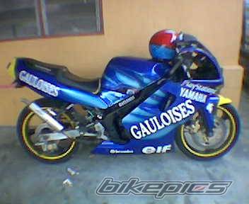 Photo 272871