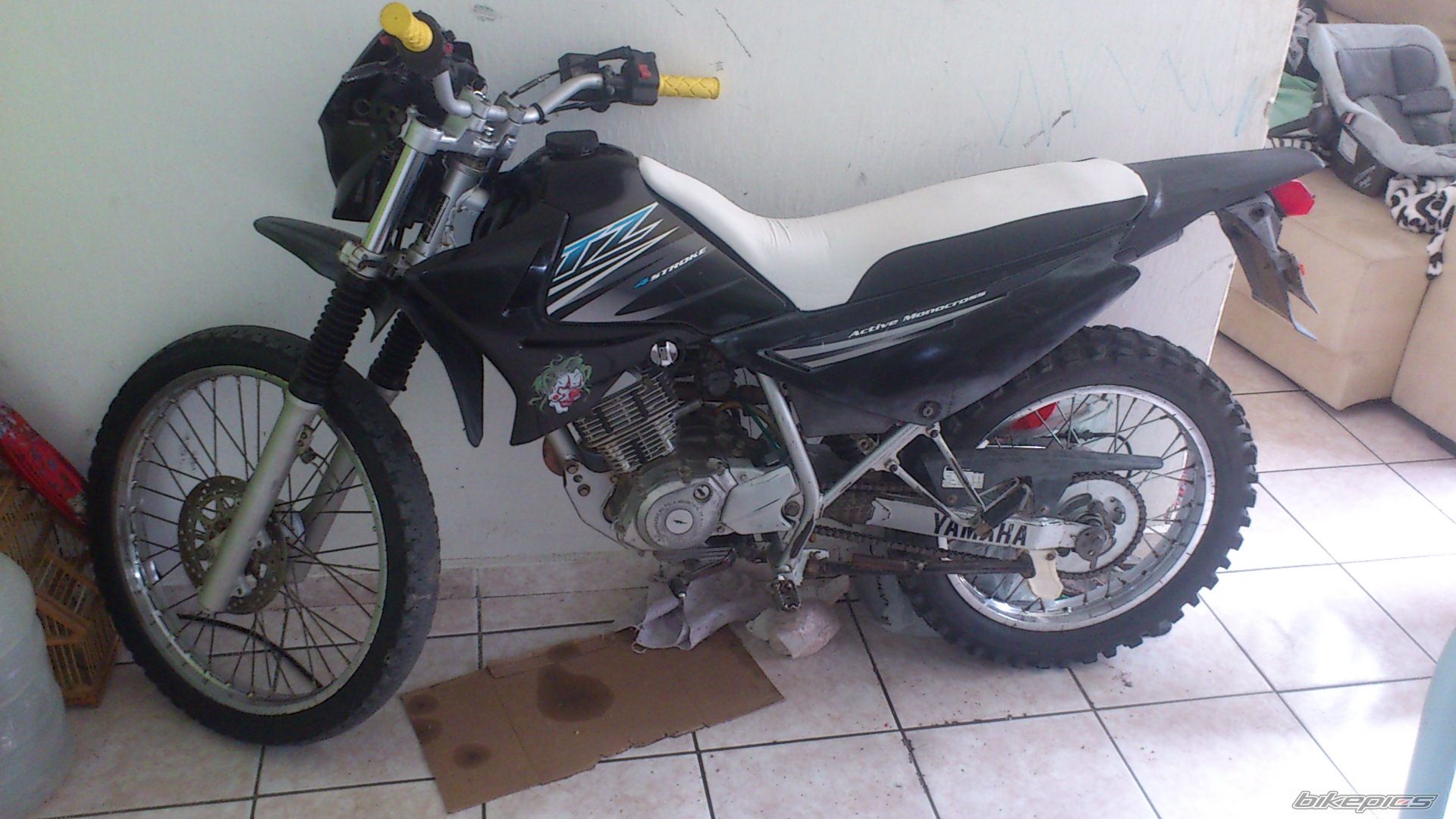 Photo 2728713