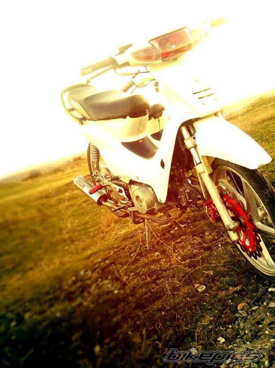 Photo 2728766