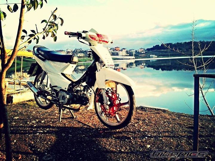 Photo 2728772