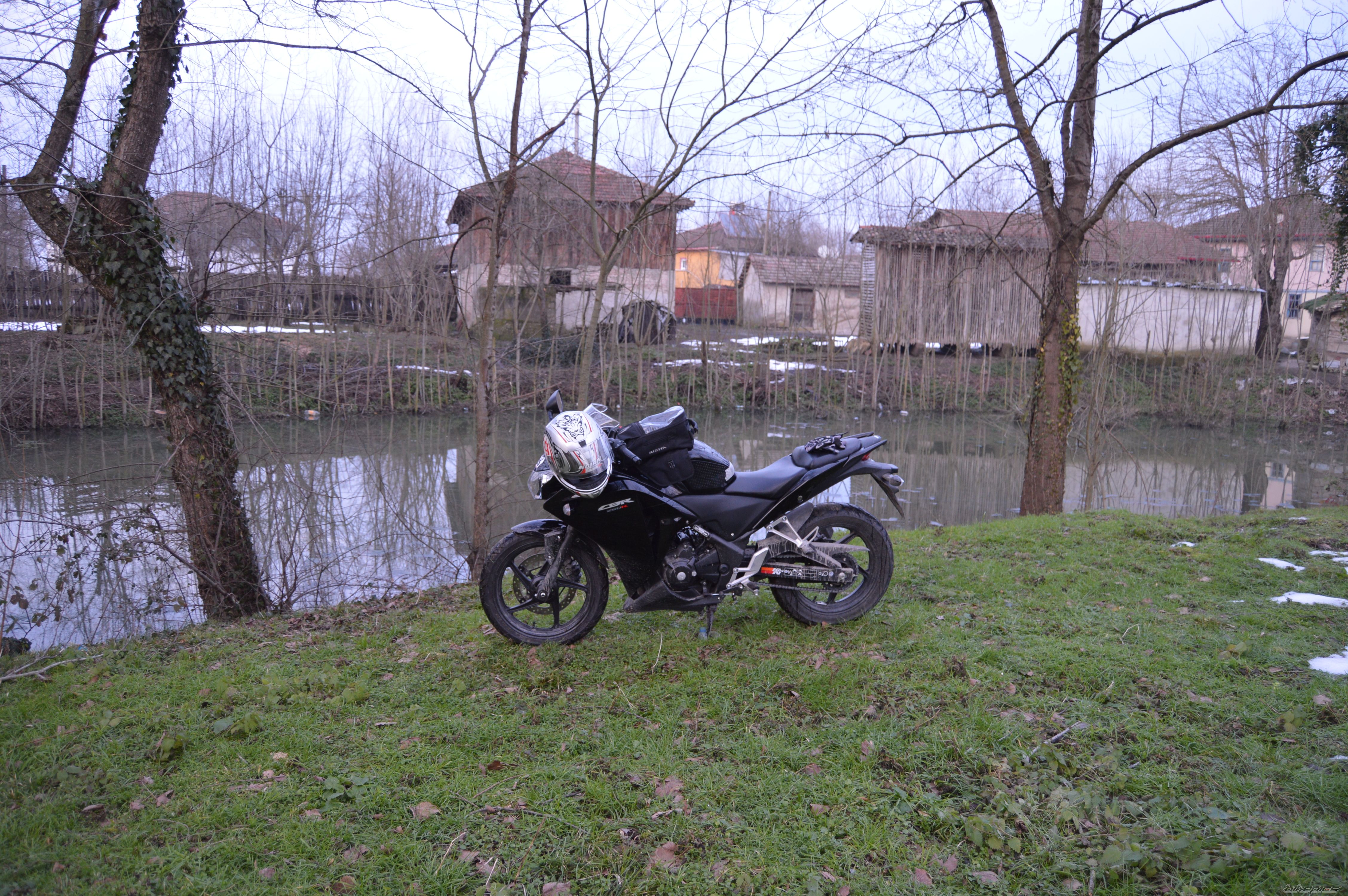 Photo 2728777