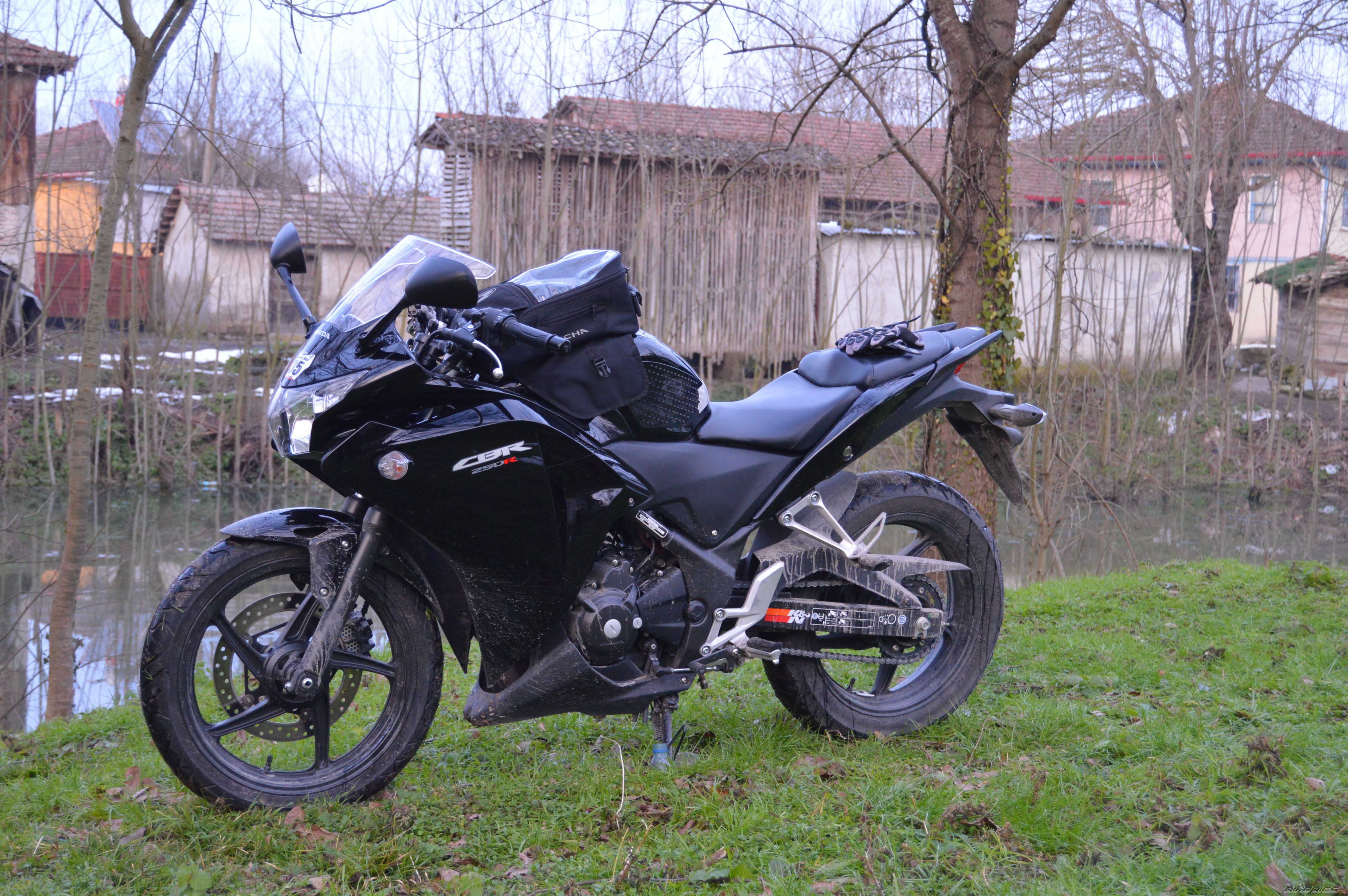 Photo 2728805
