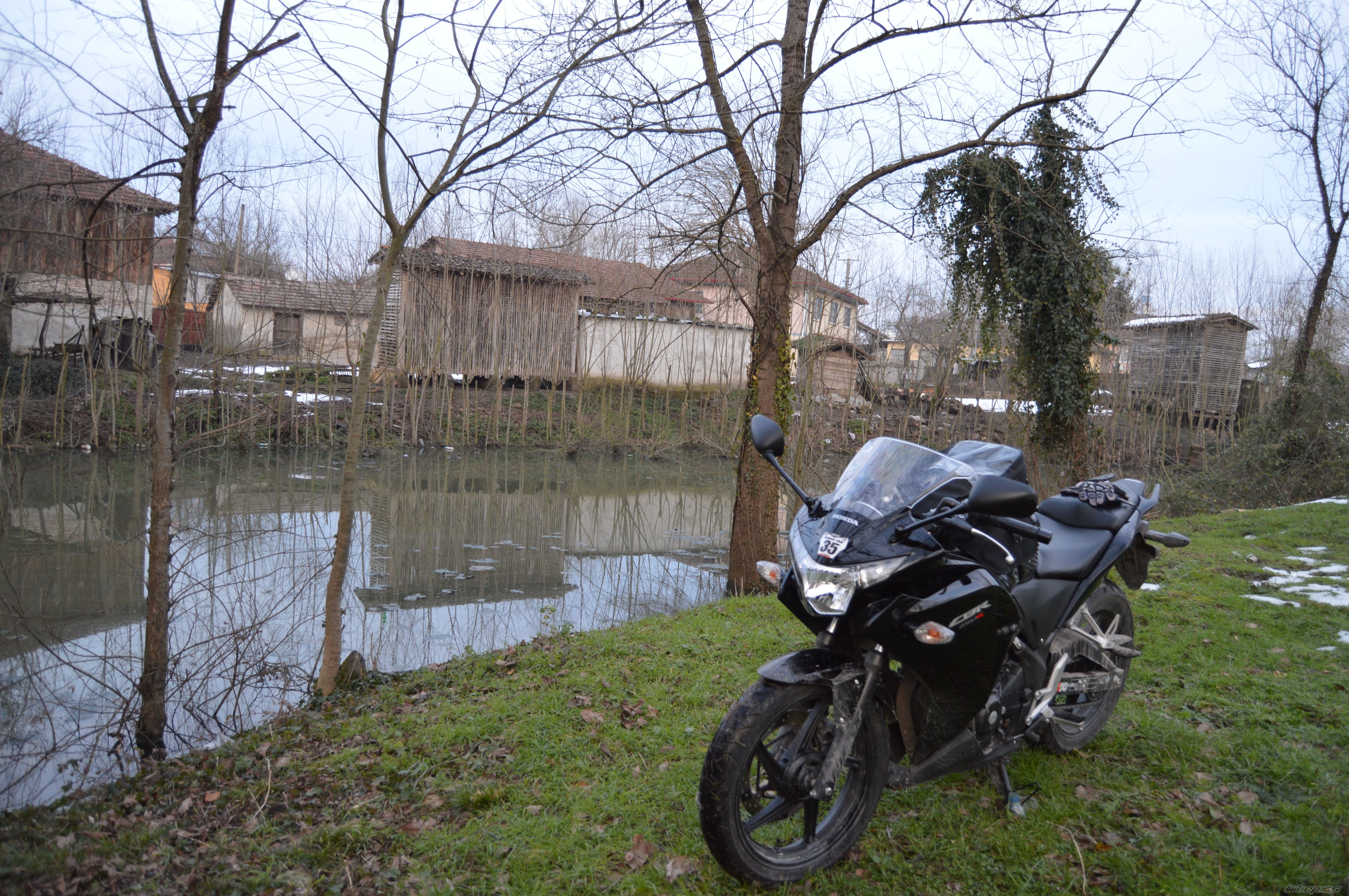 Photo 2728814