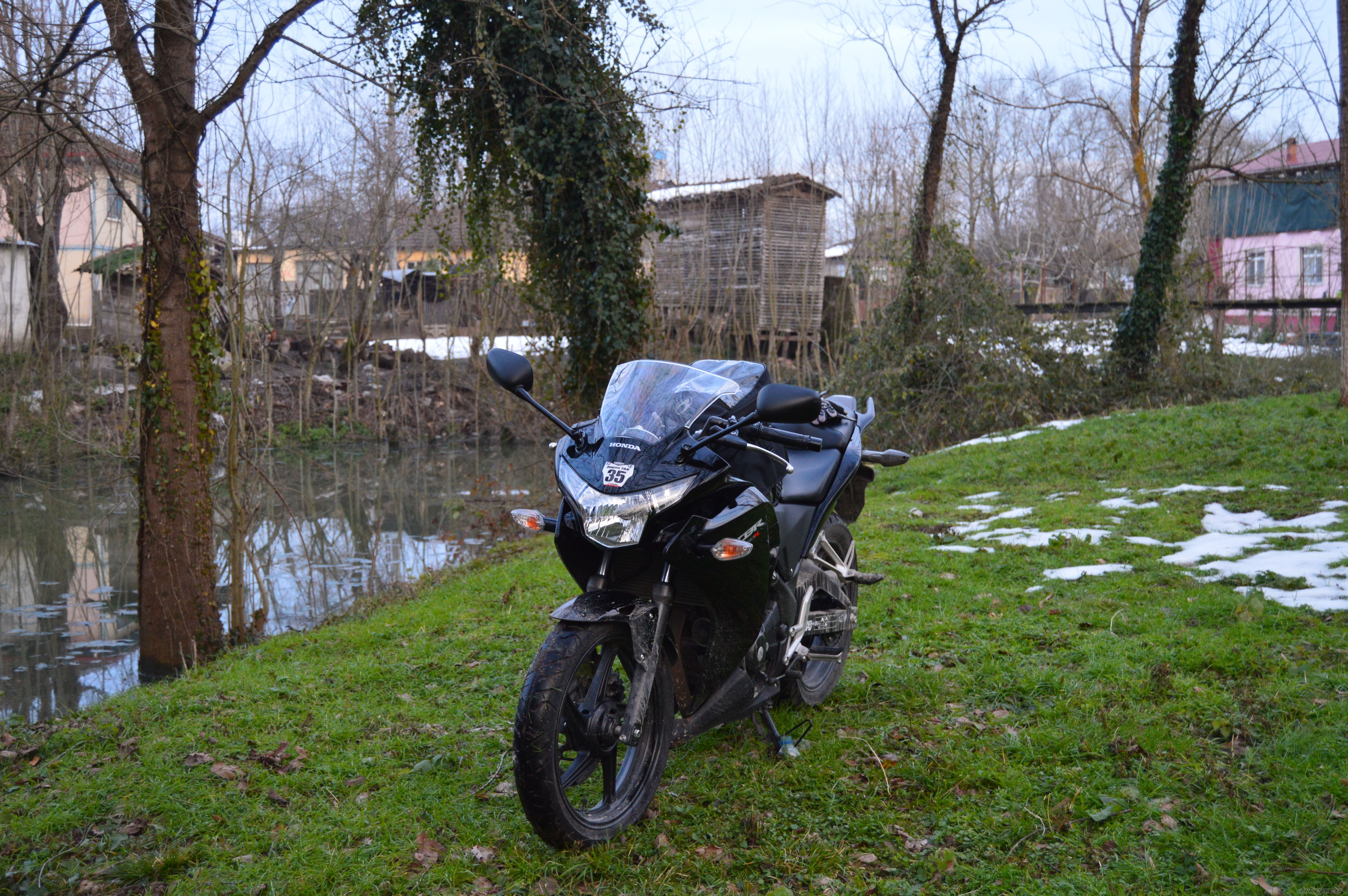 Photo 2728816