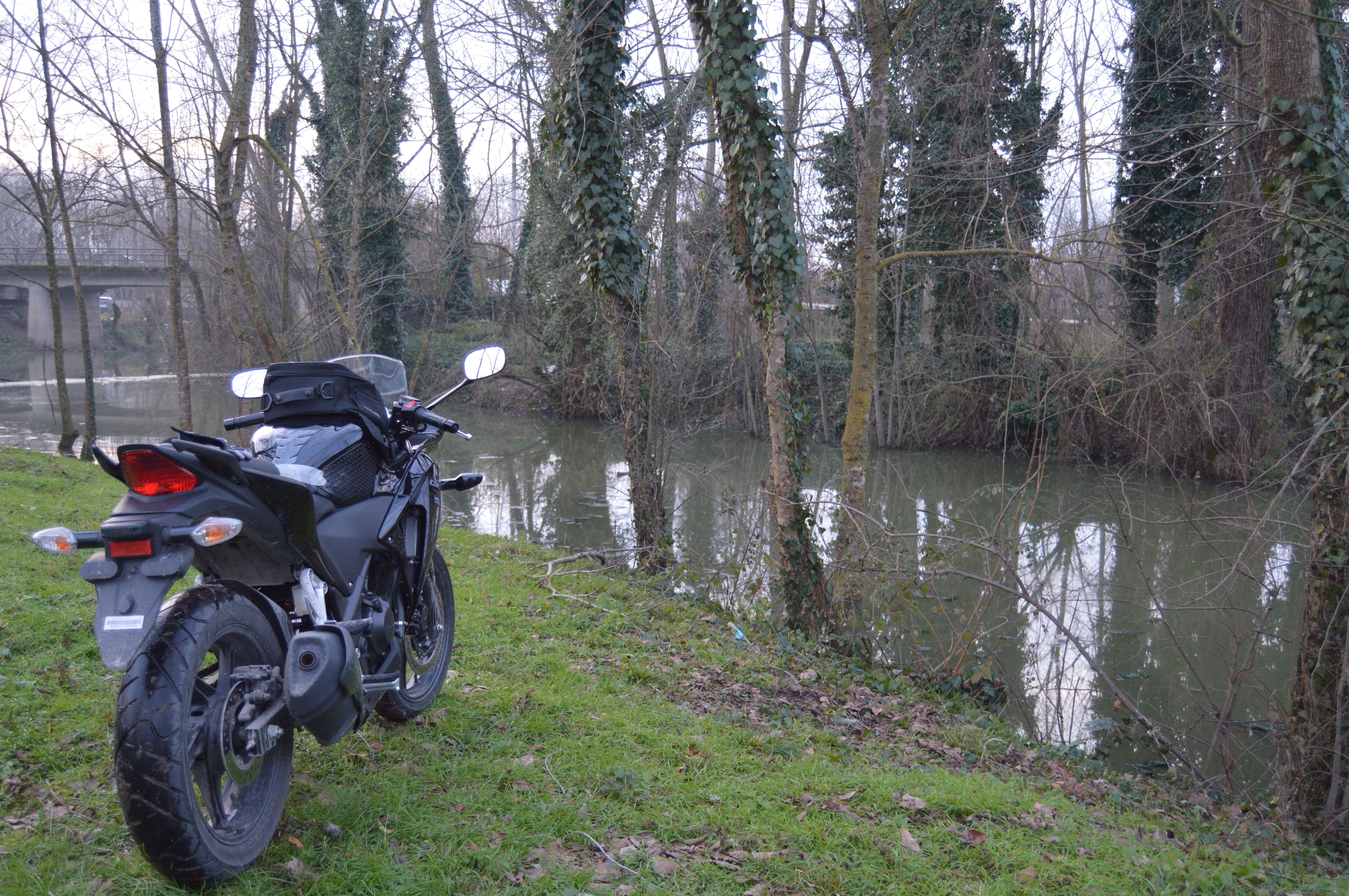 Photo 2728824
