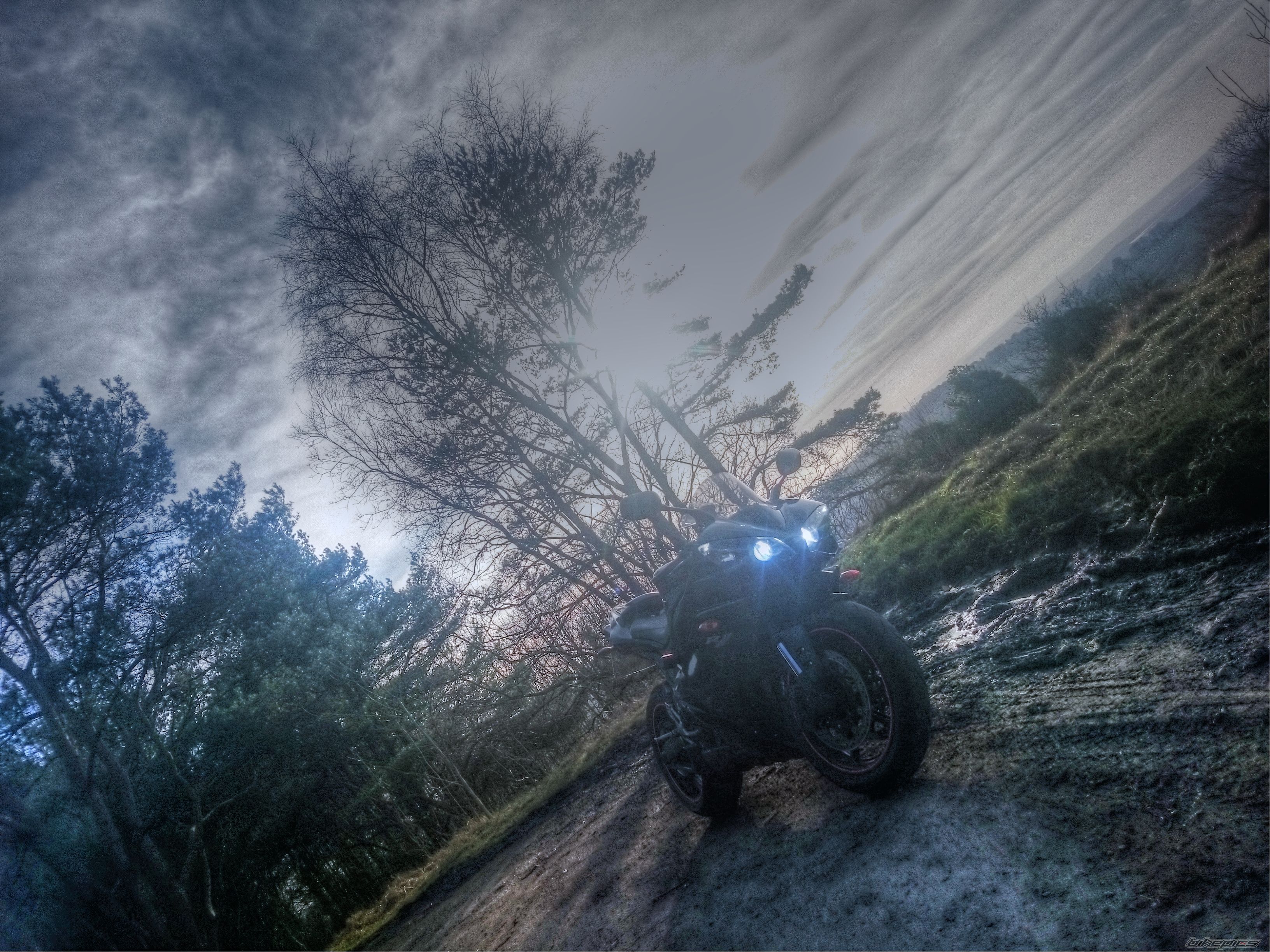 Photo 2728865