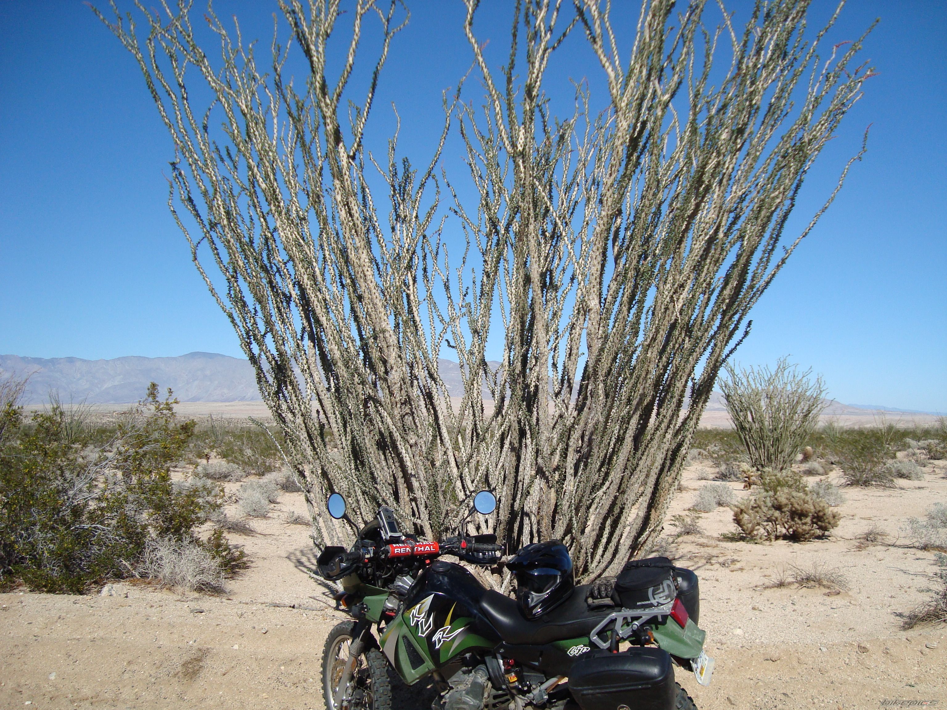 Photo 2728942