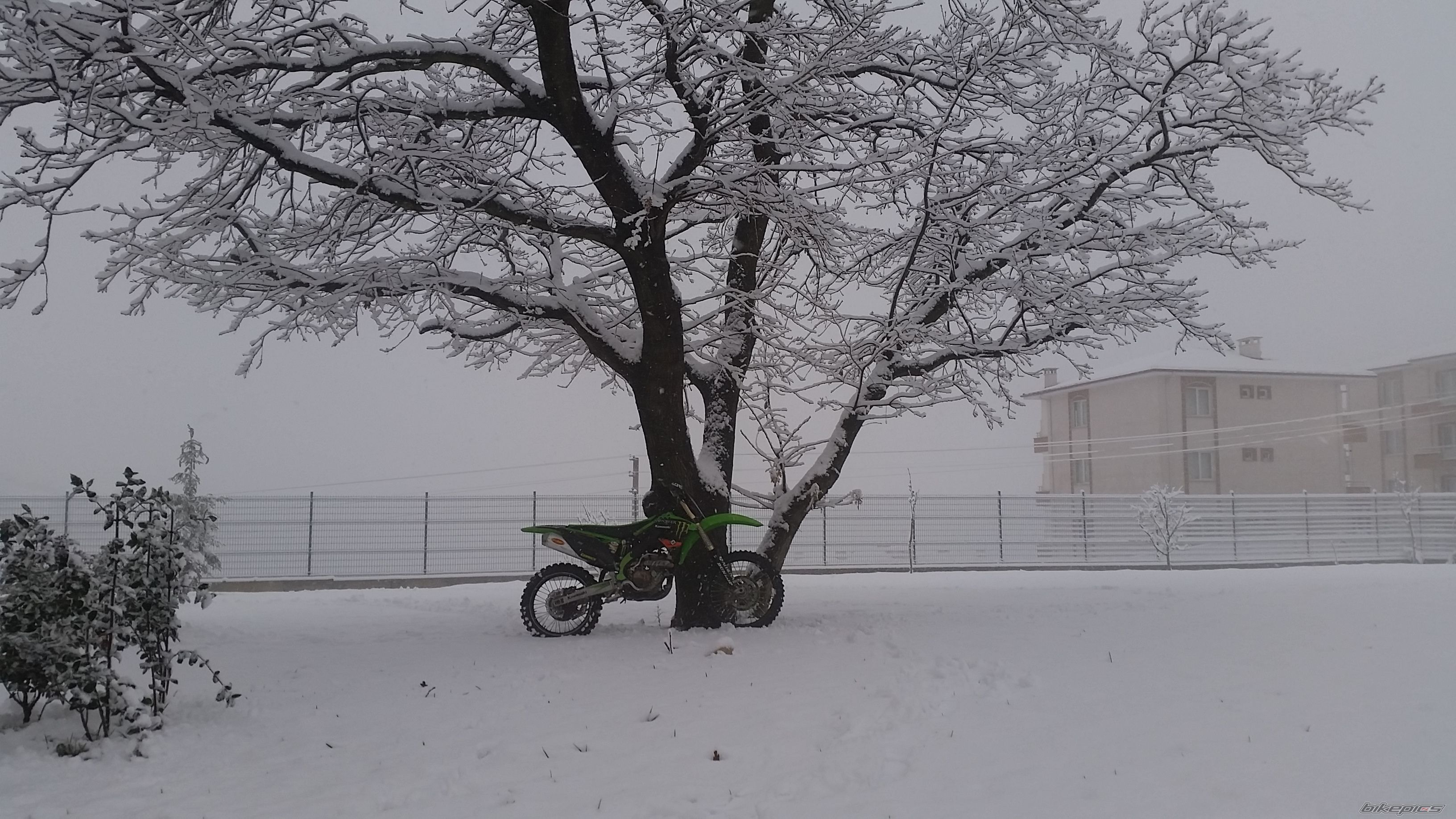 Bike Photo 2728961