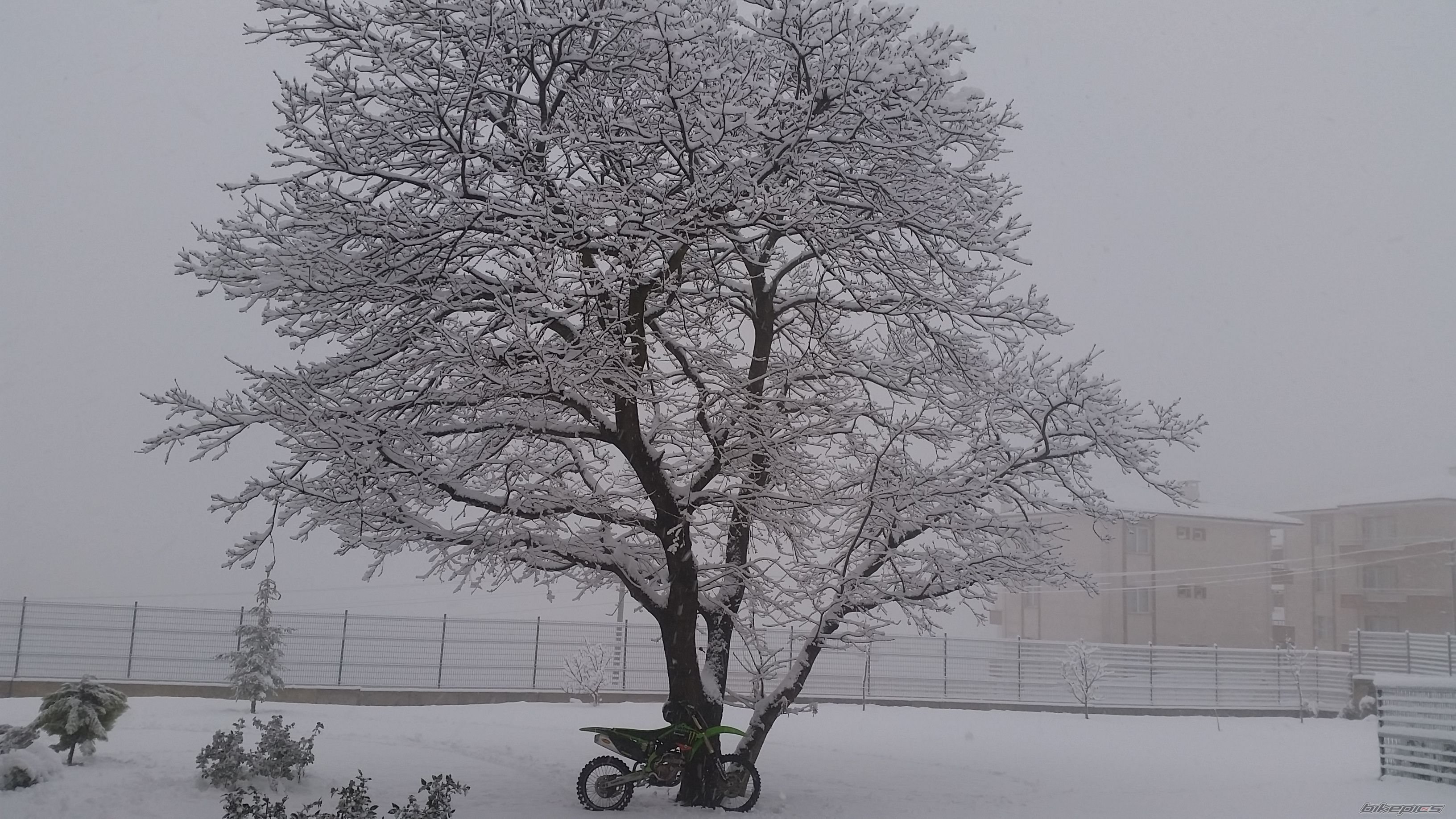 Photo 2728962