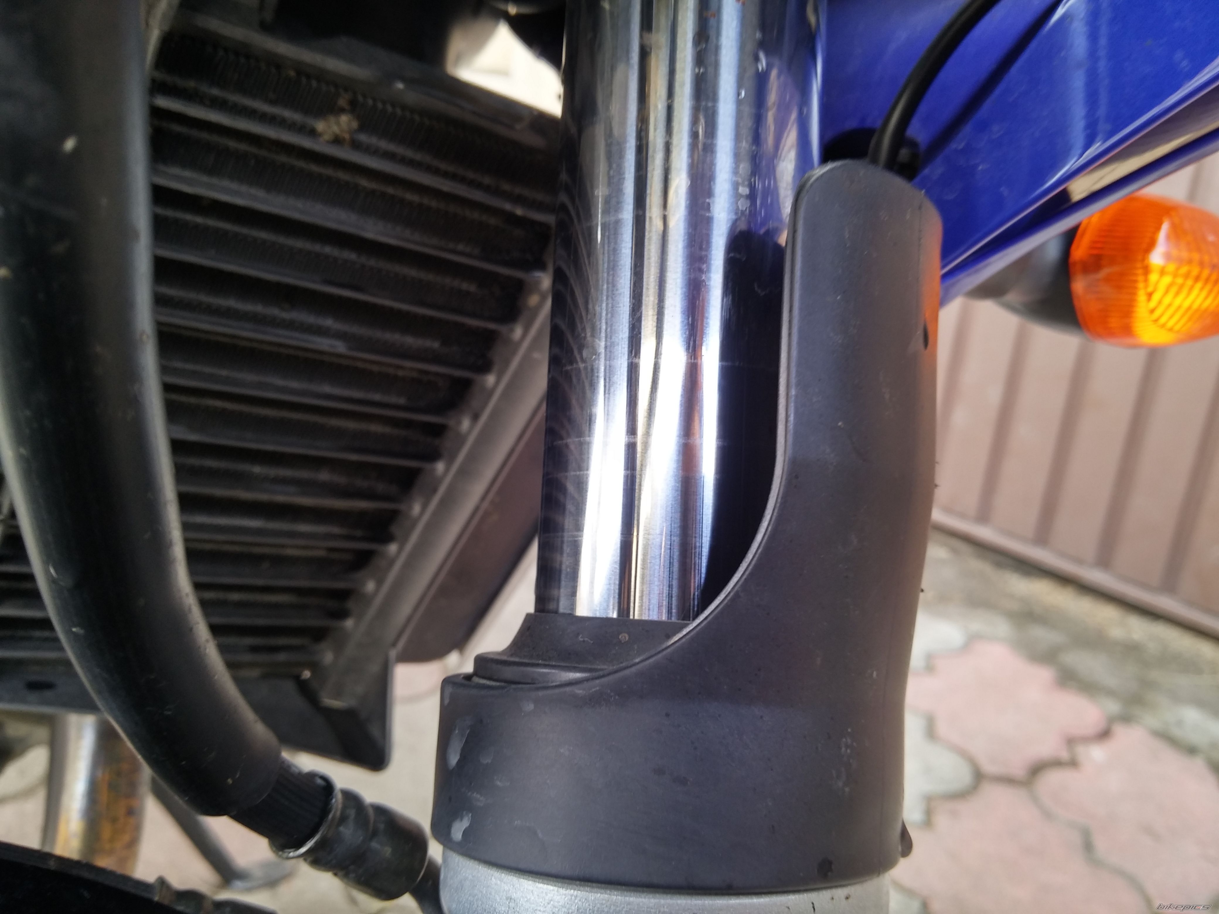 Photo 2729049