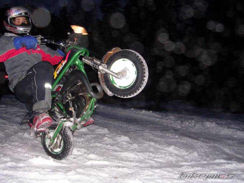 Photo 272929