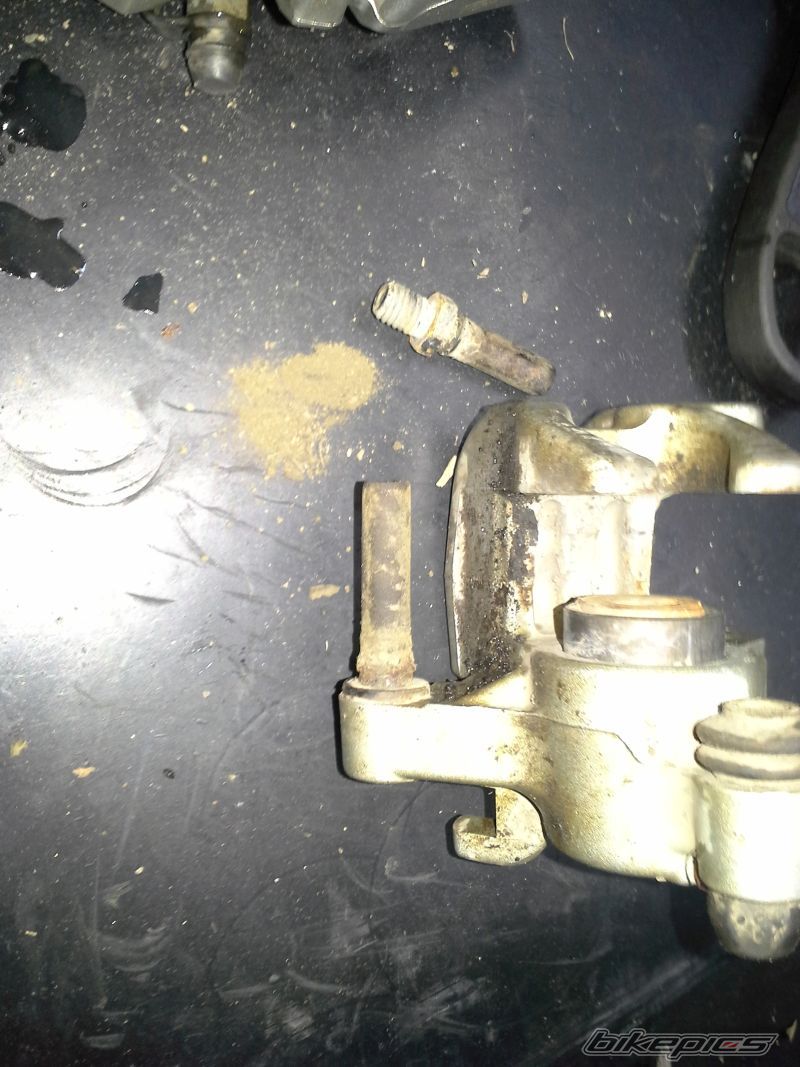 Photo 2729325